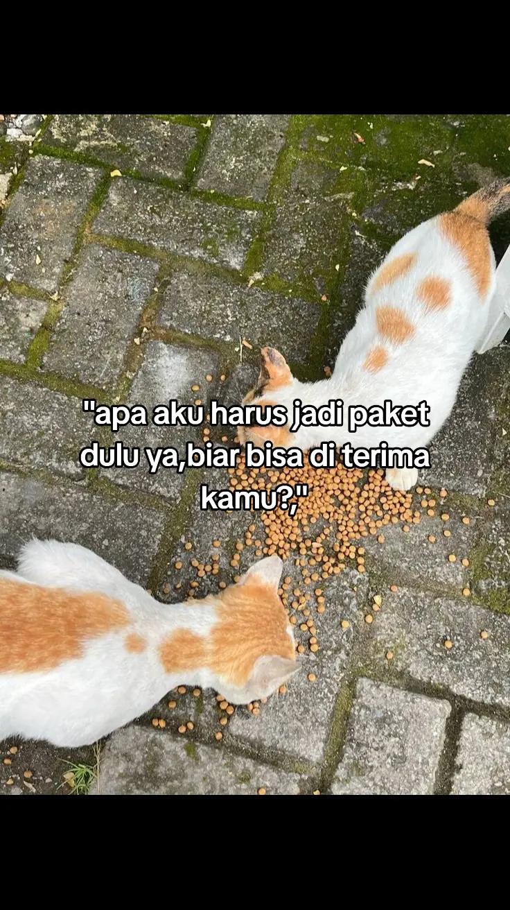 @p!kk