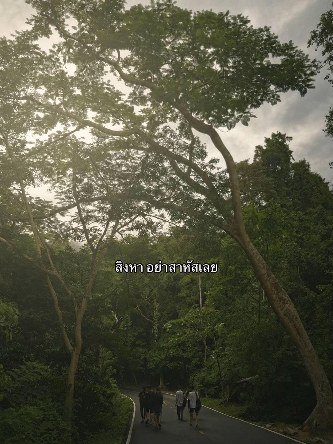 @รับประยางรถเกี่ยว. (1.8M)