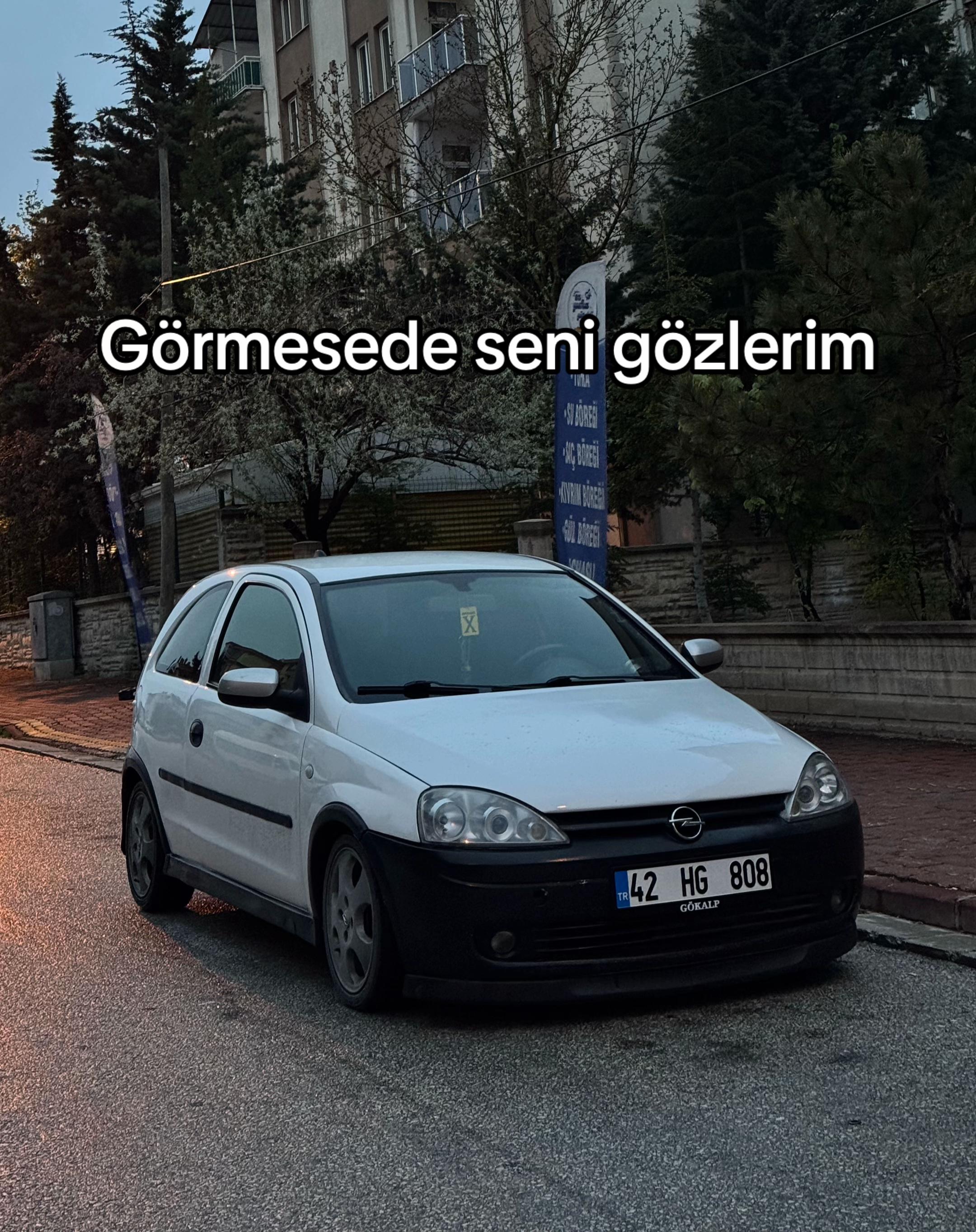 @Alperen M Erdal