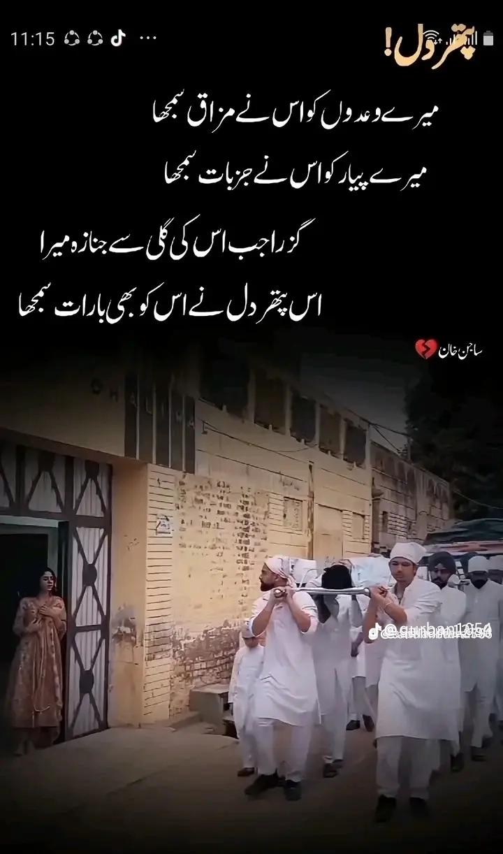 @Shan Ali loona