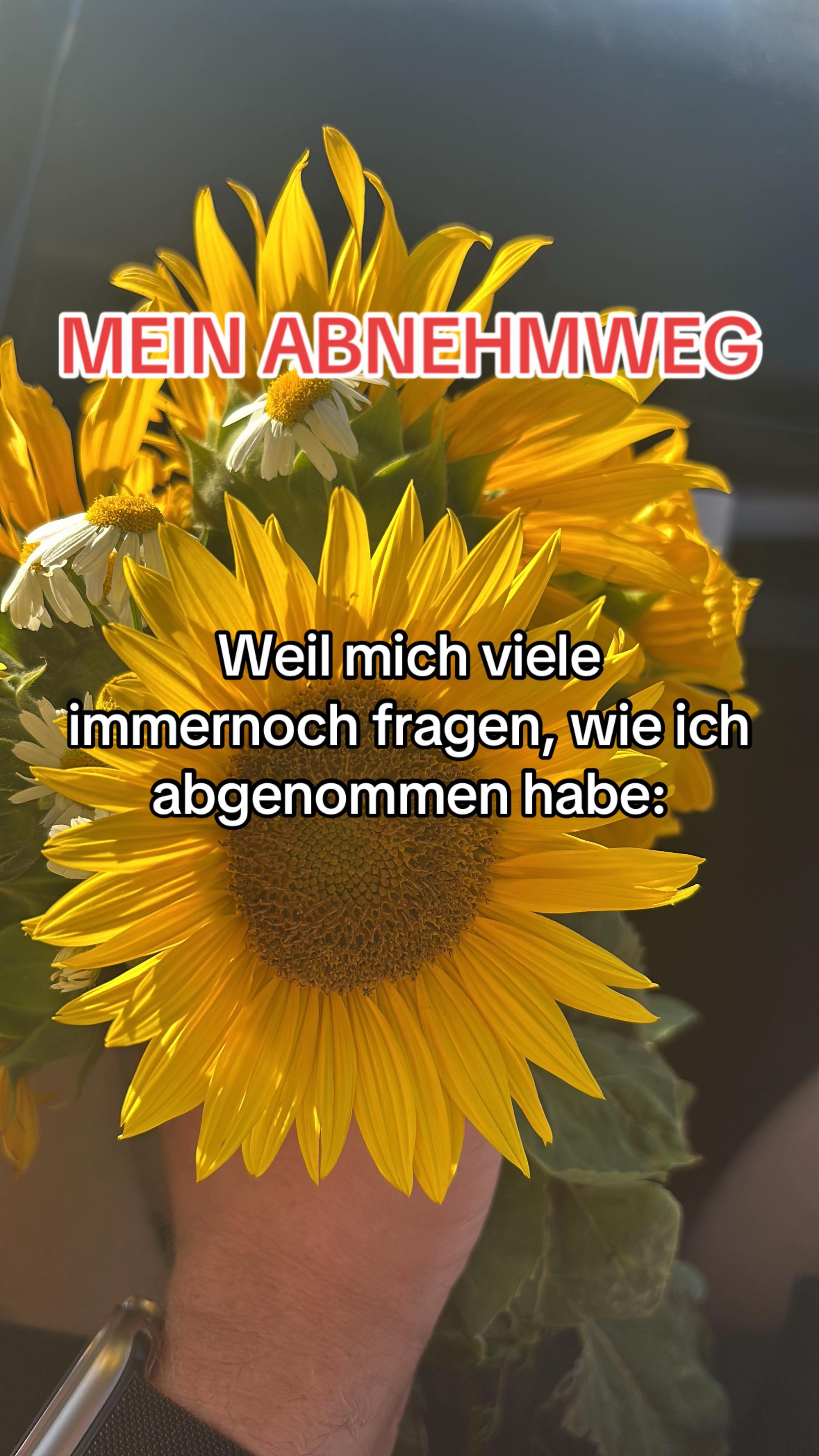 @melina