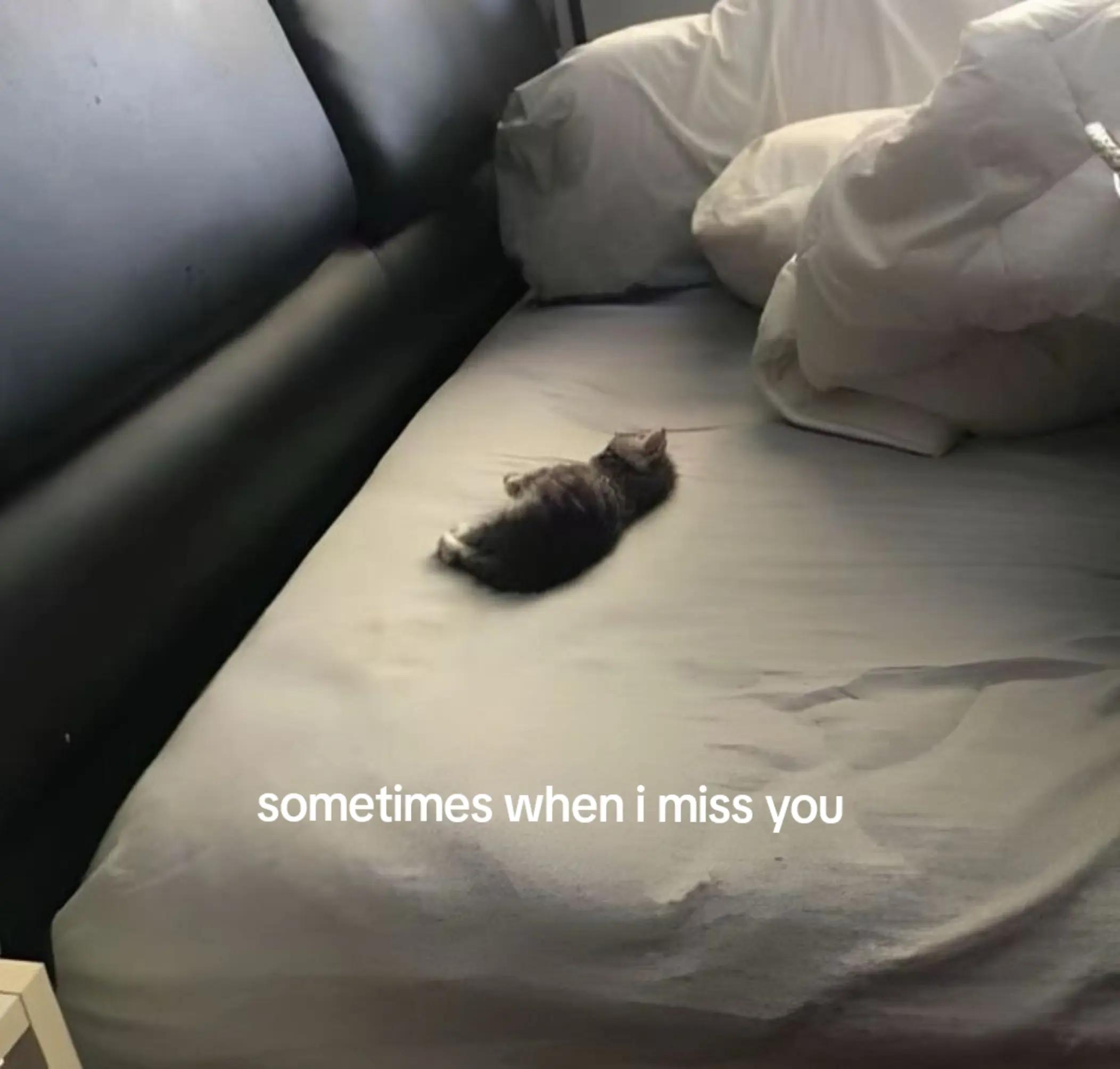 @우리