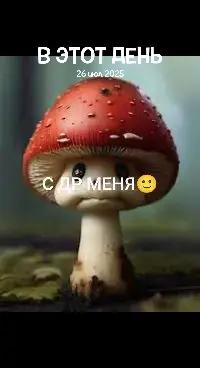 @Ciiz&deg;