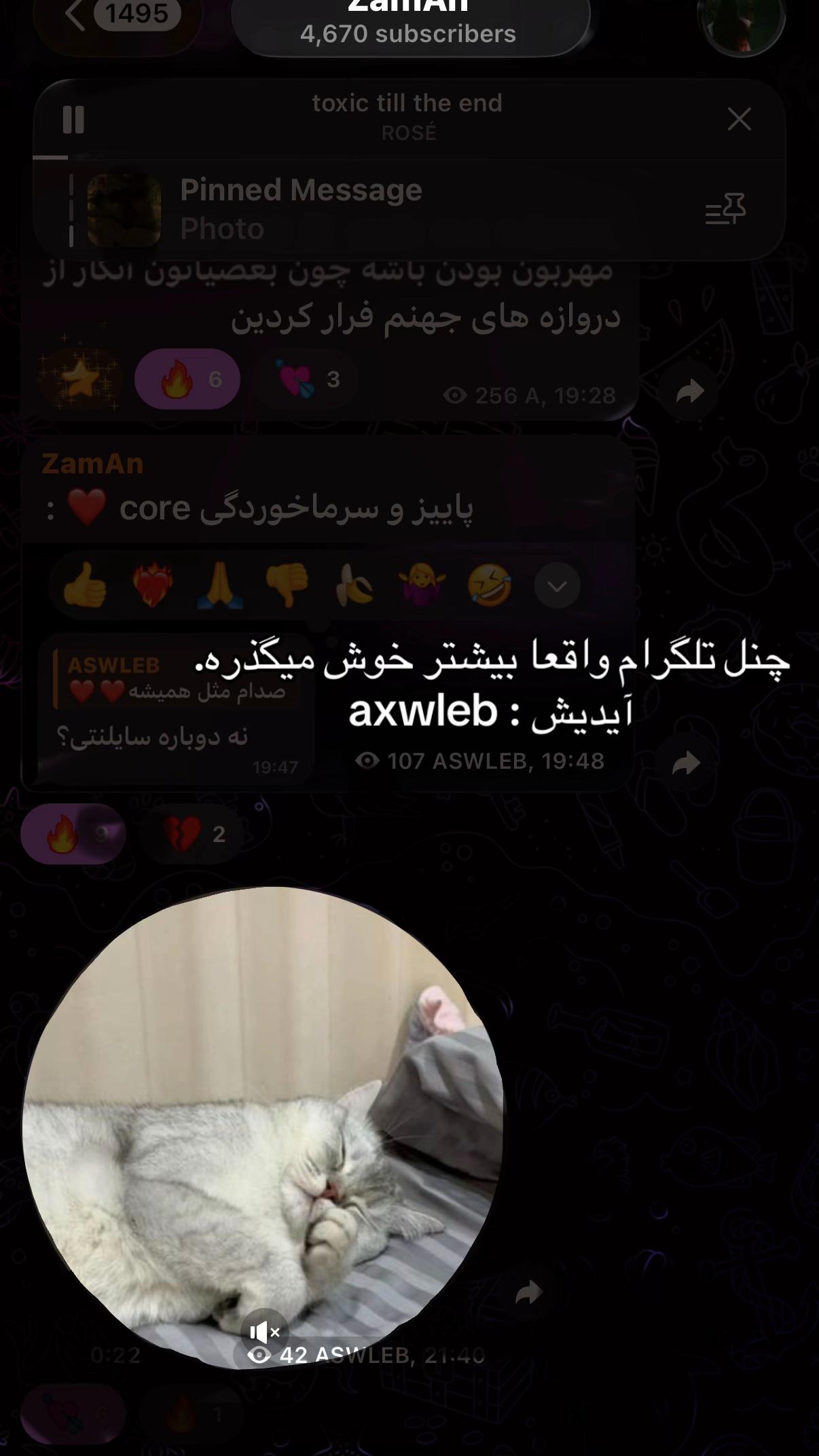 @aswleb