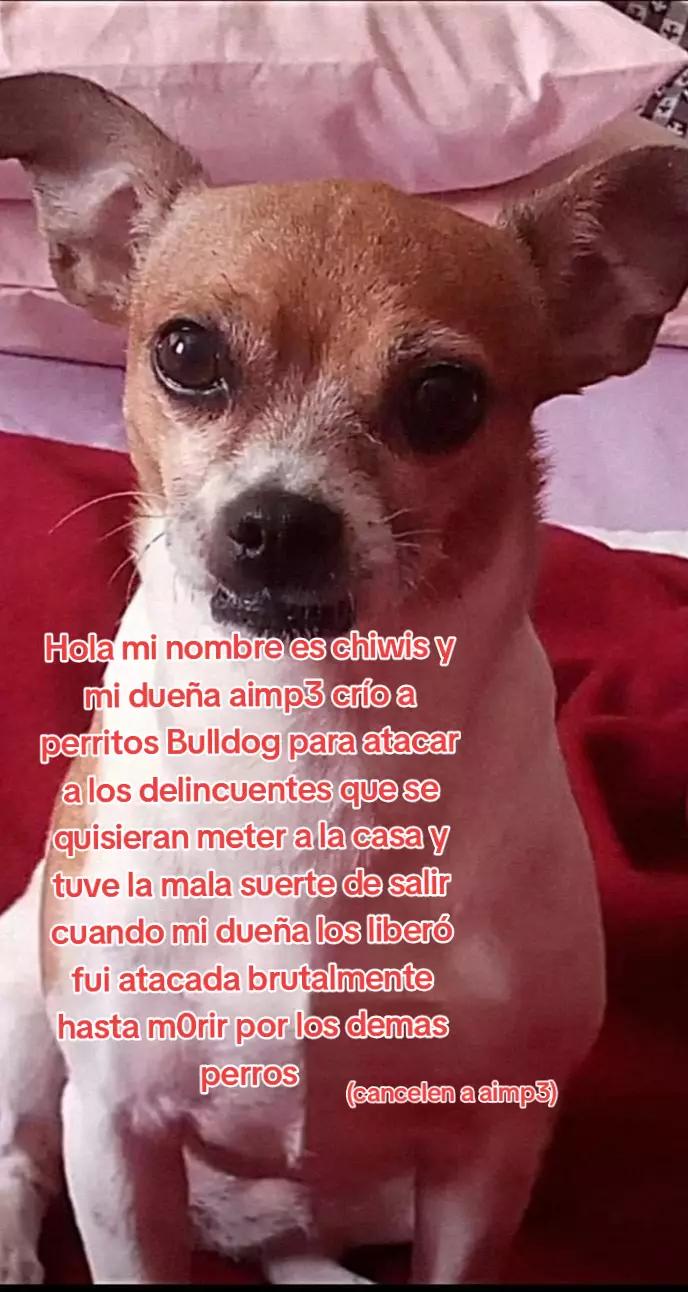@aimp3_