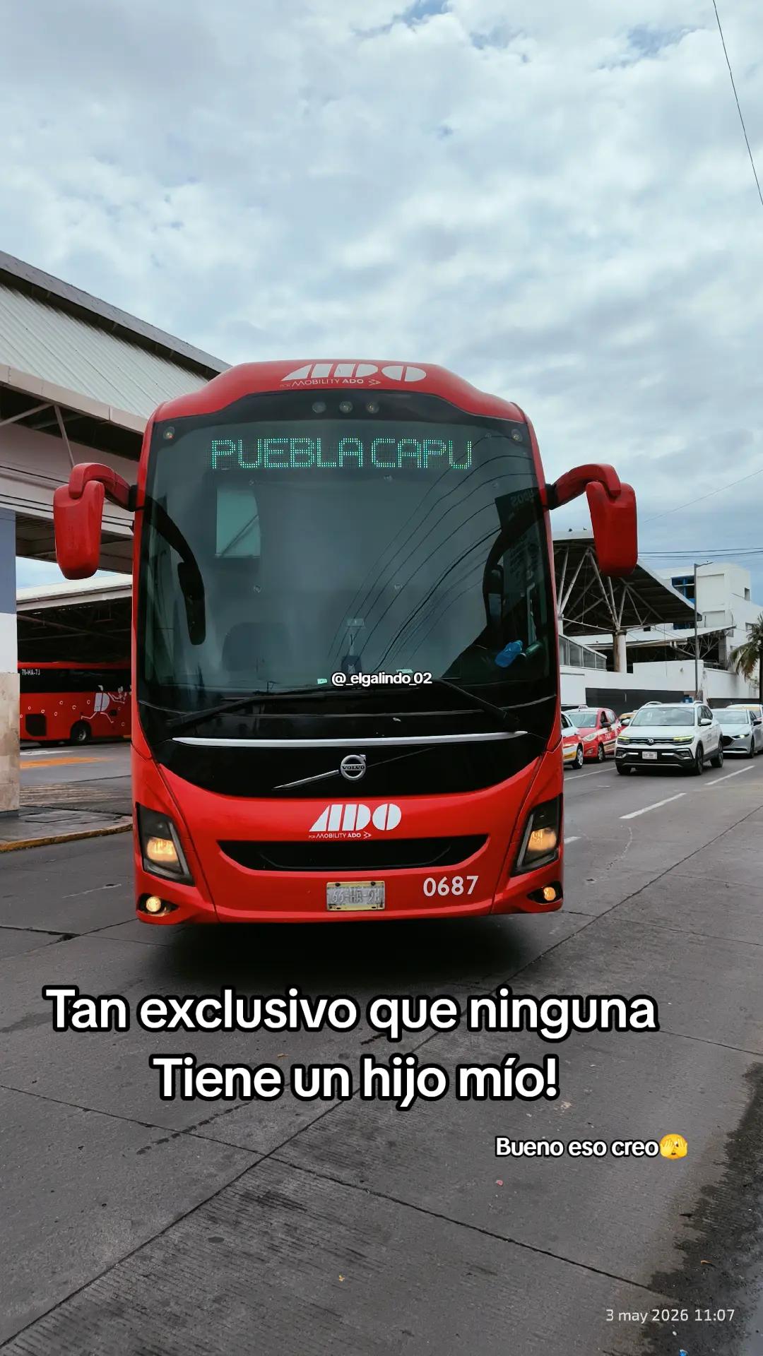 @_elgalindo_02