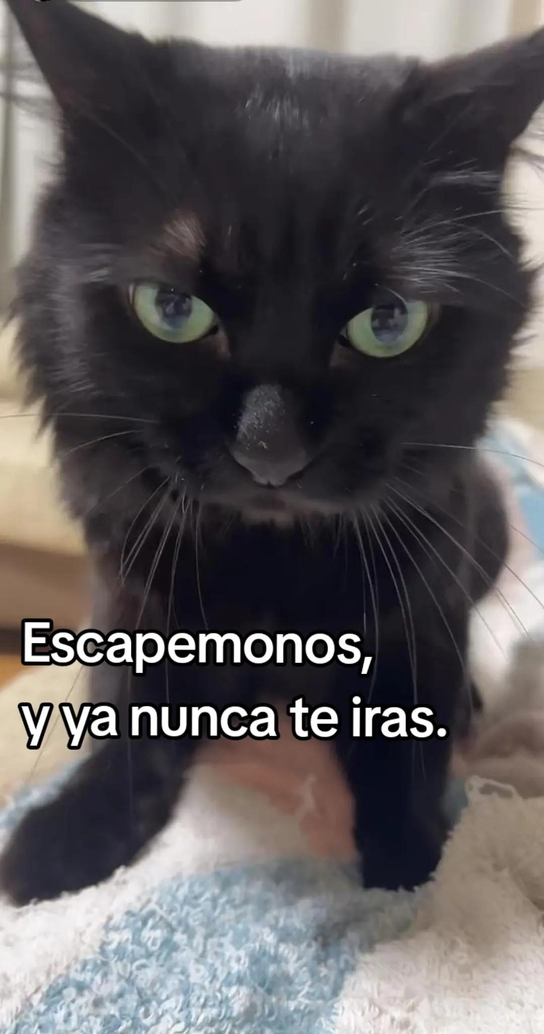 @Charlii*