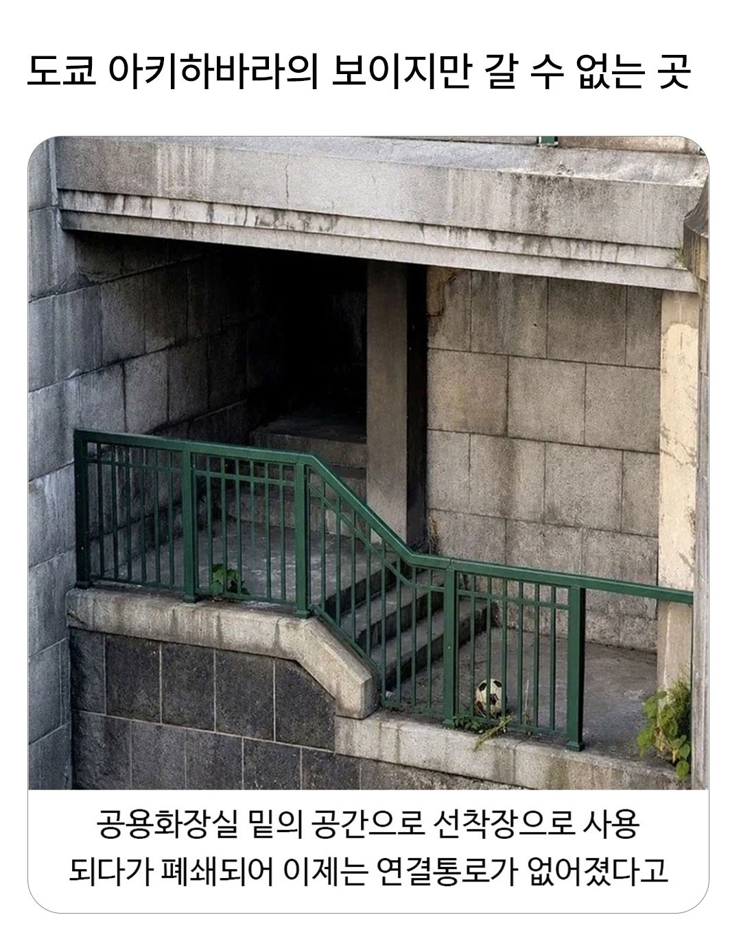 @로이젤