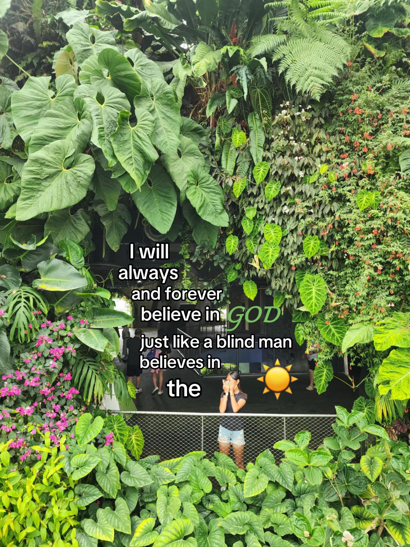 @༺☆༻