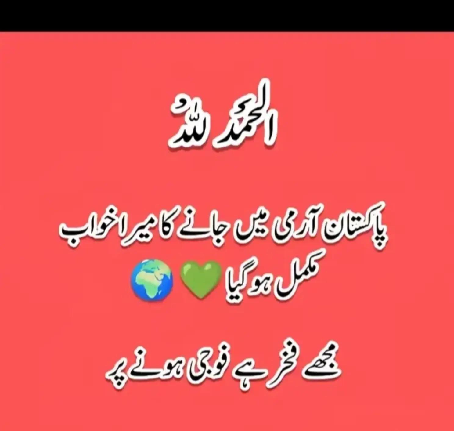 @Masoom Foji❤️🐼