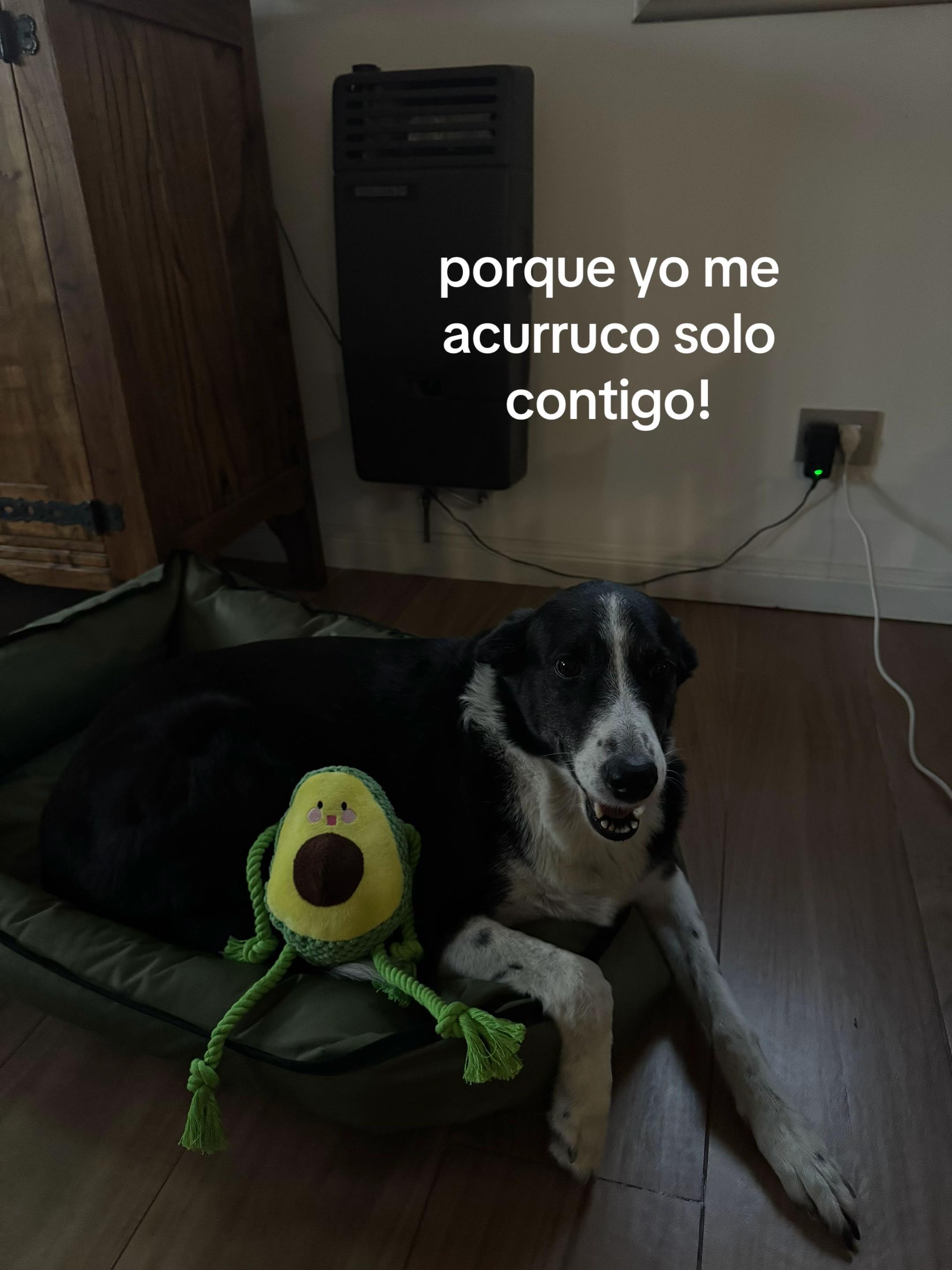@Rena Caraccini