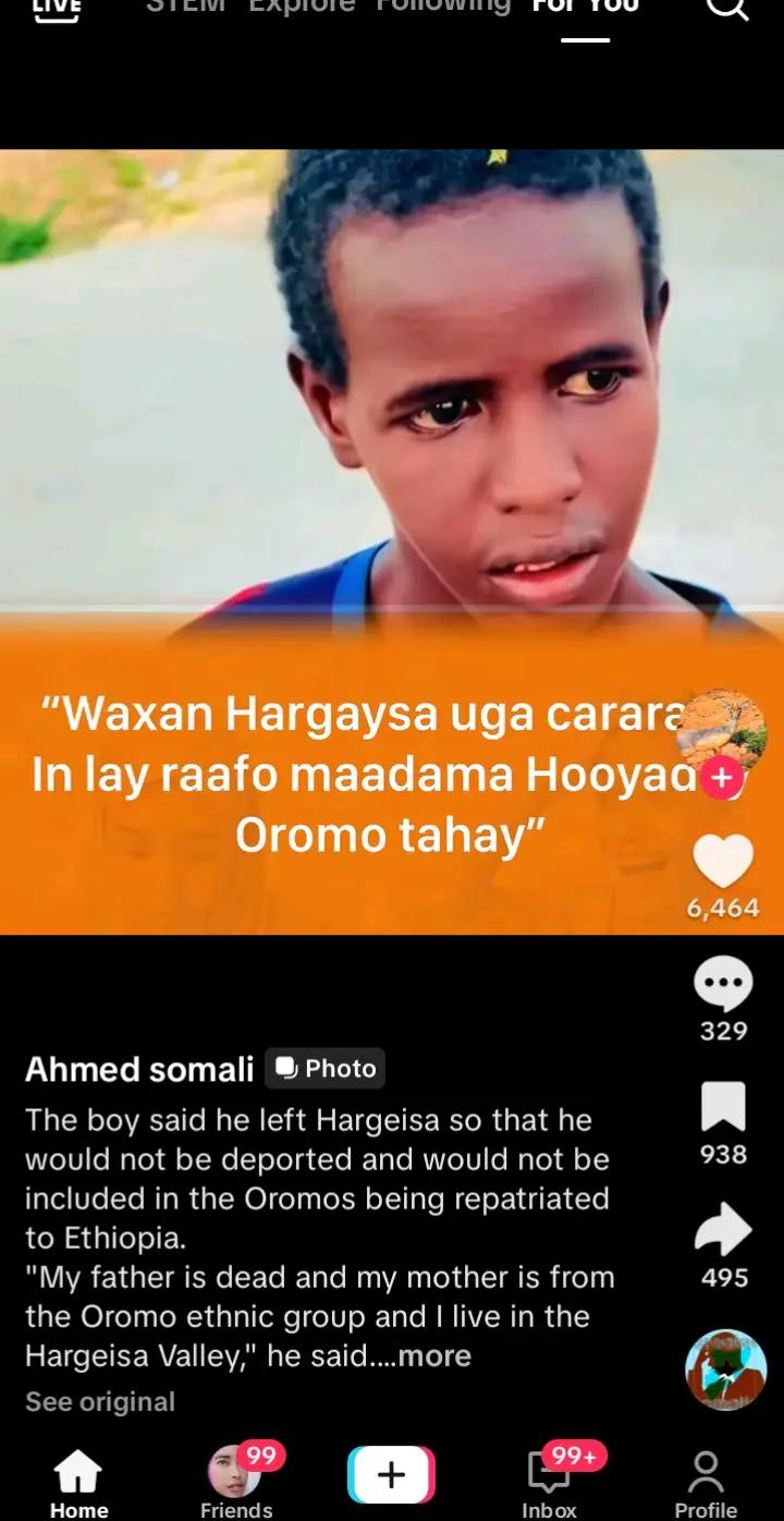 @galdagaalka