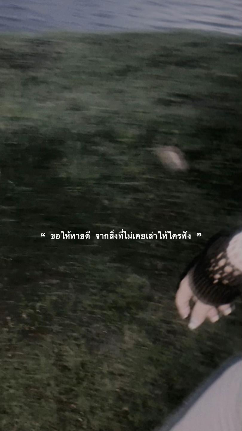 @WordVibe.co