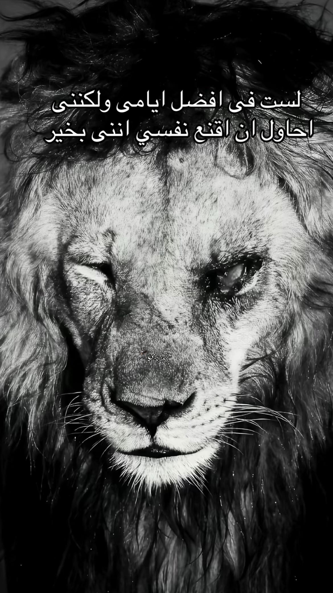 @﮼سيف ﮼الجزيري 🥷🦅