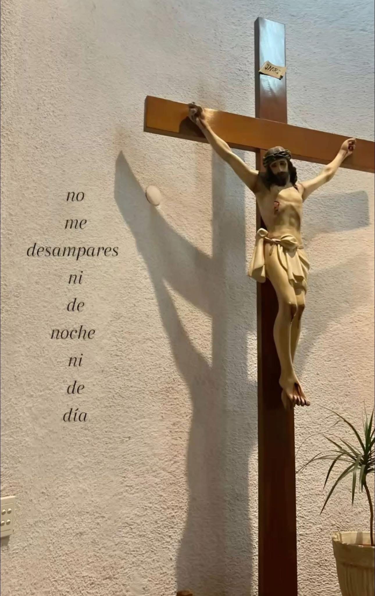 @💚🤍❤️{🌹}&yen;;