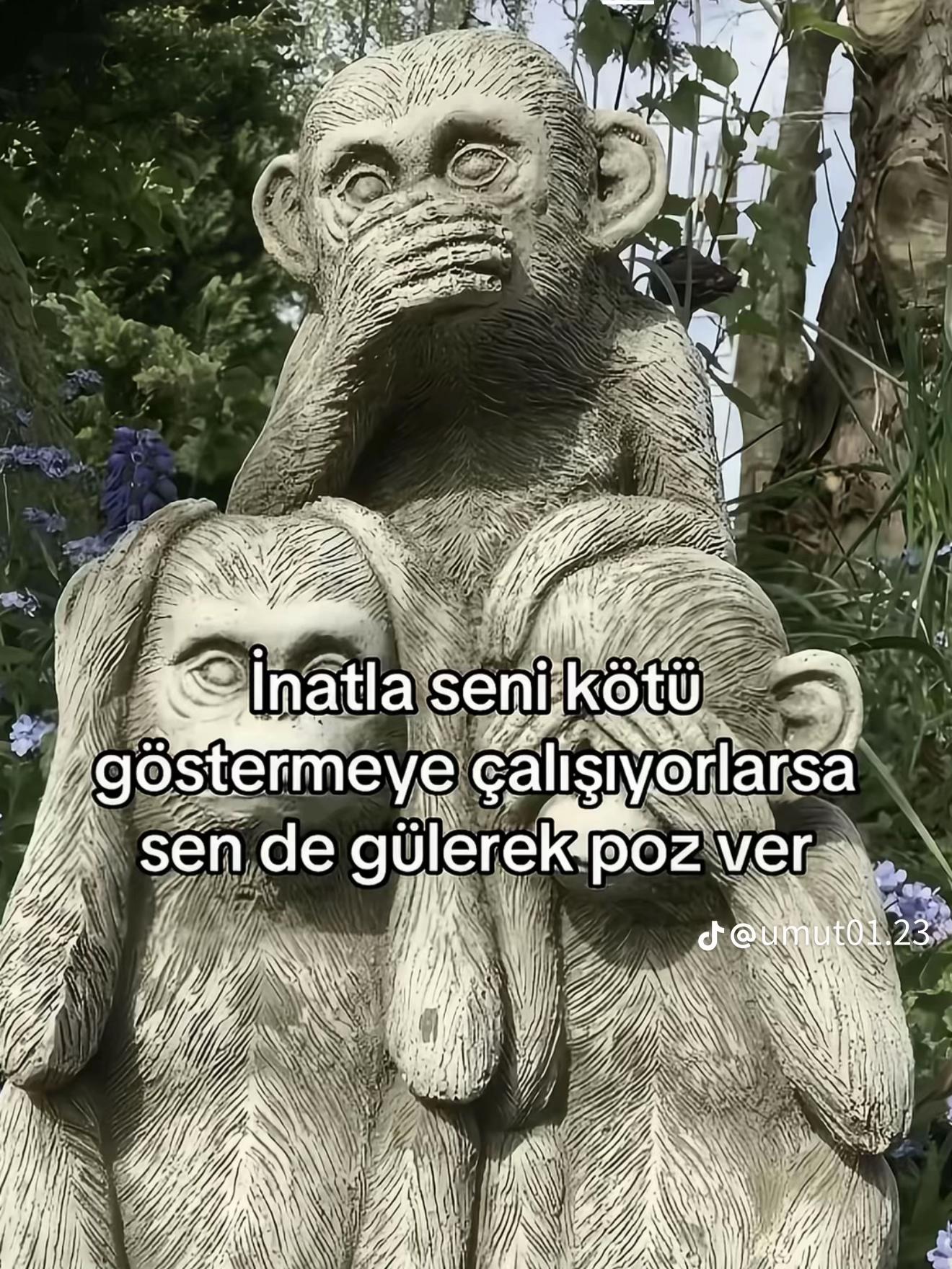 @Cansu Dündar
