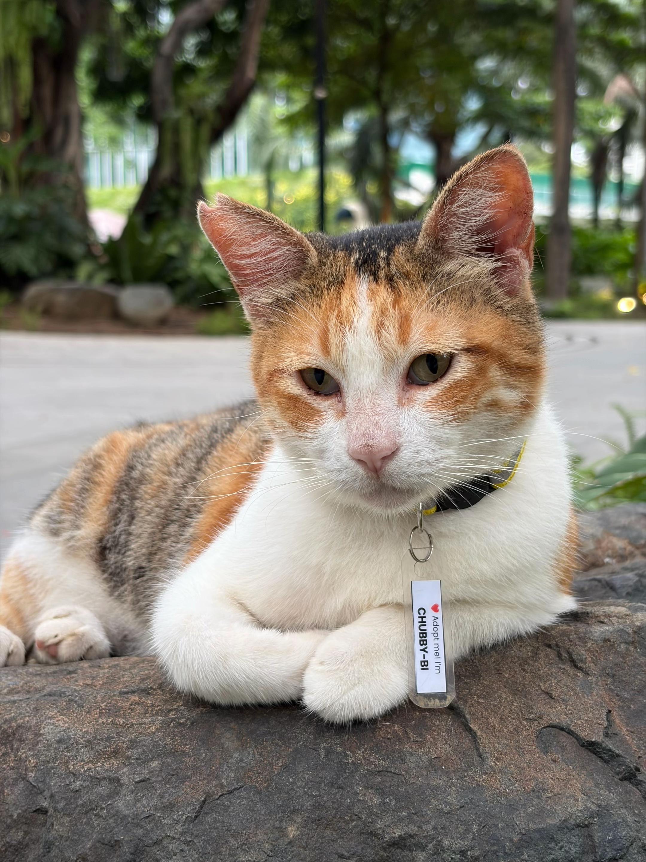 @ᘻᗩᖇᑘ