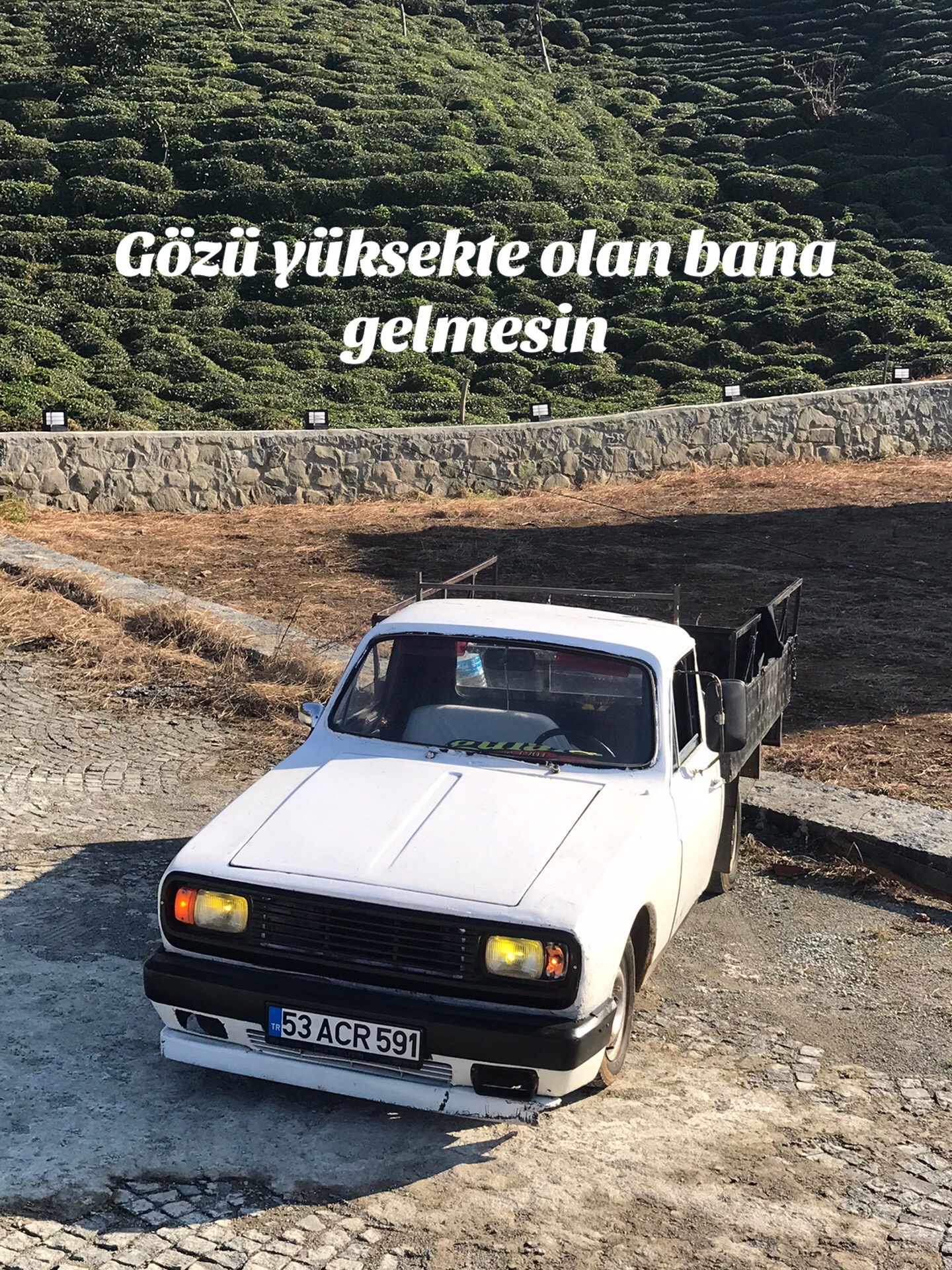@gkdnzmydn.53