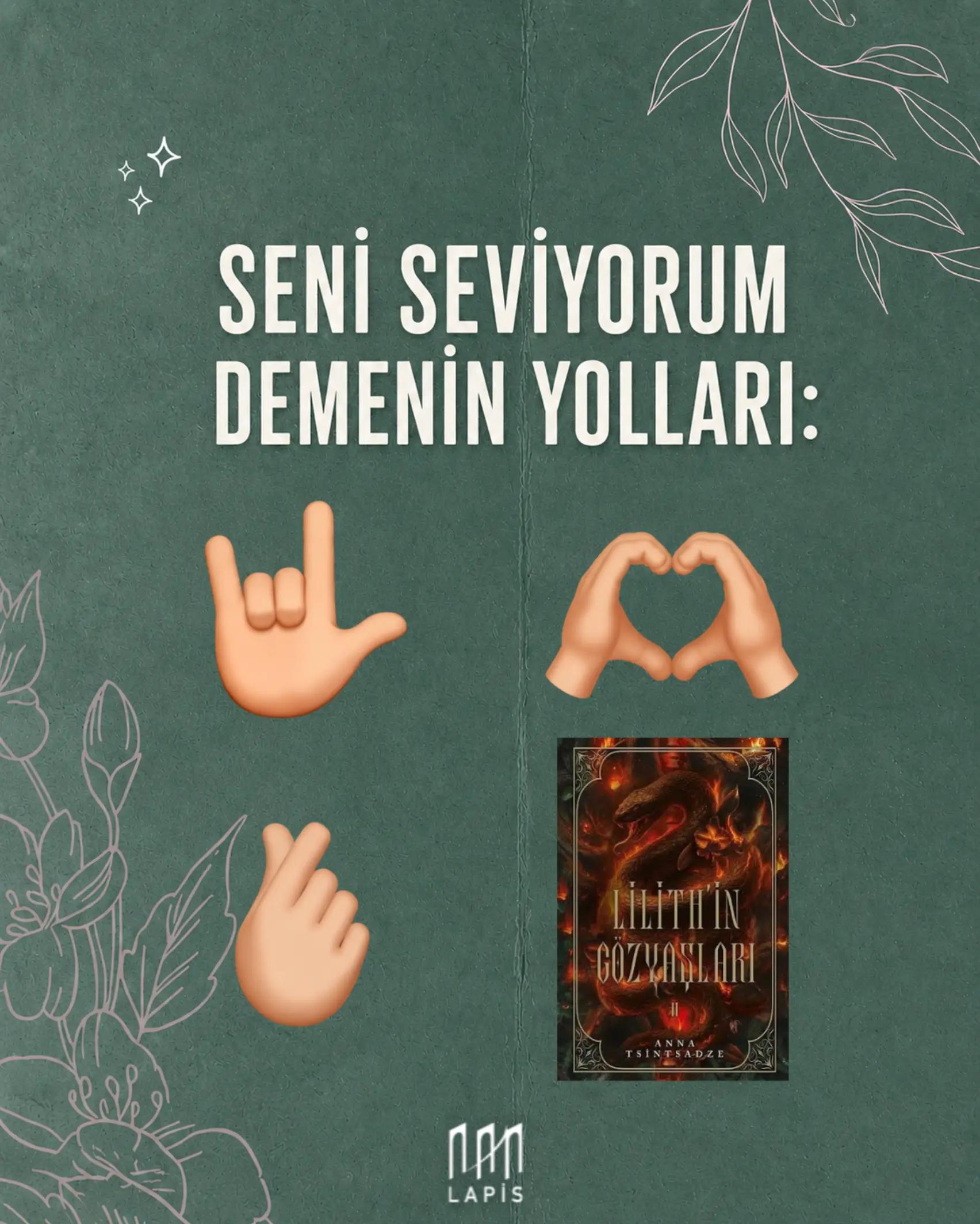 @LAPİS YAYINLARI