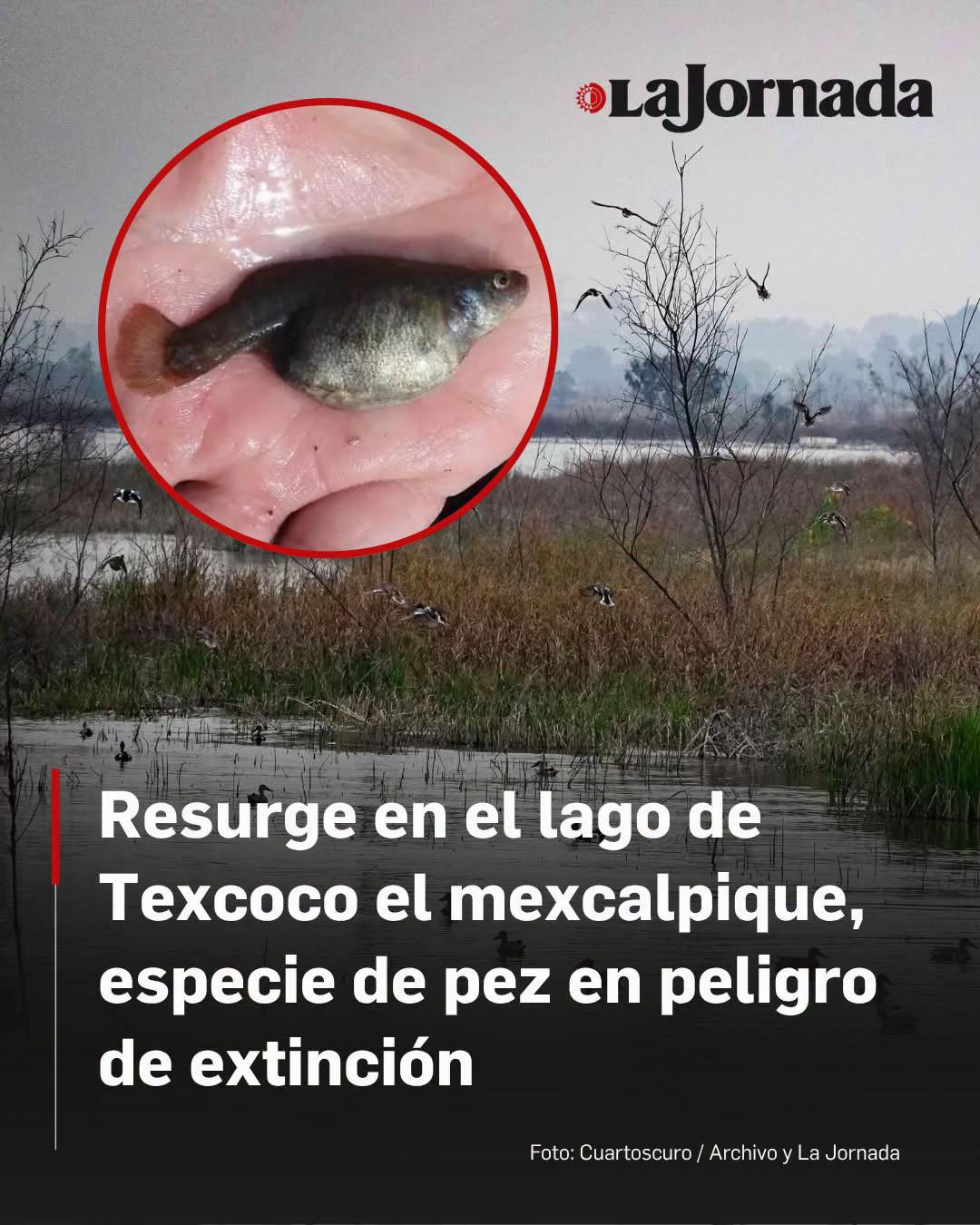 @parqueecologico.pelt