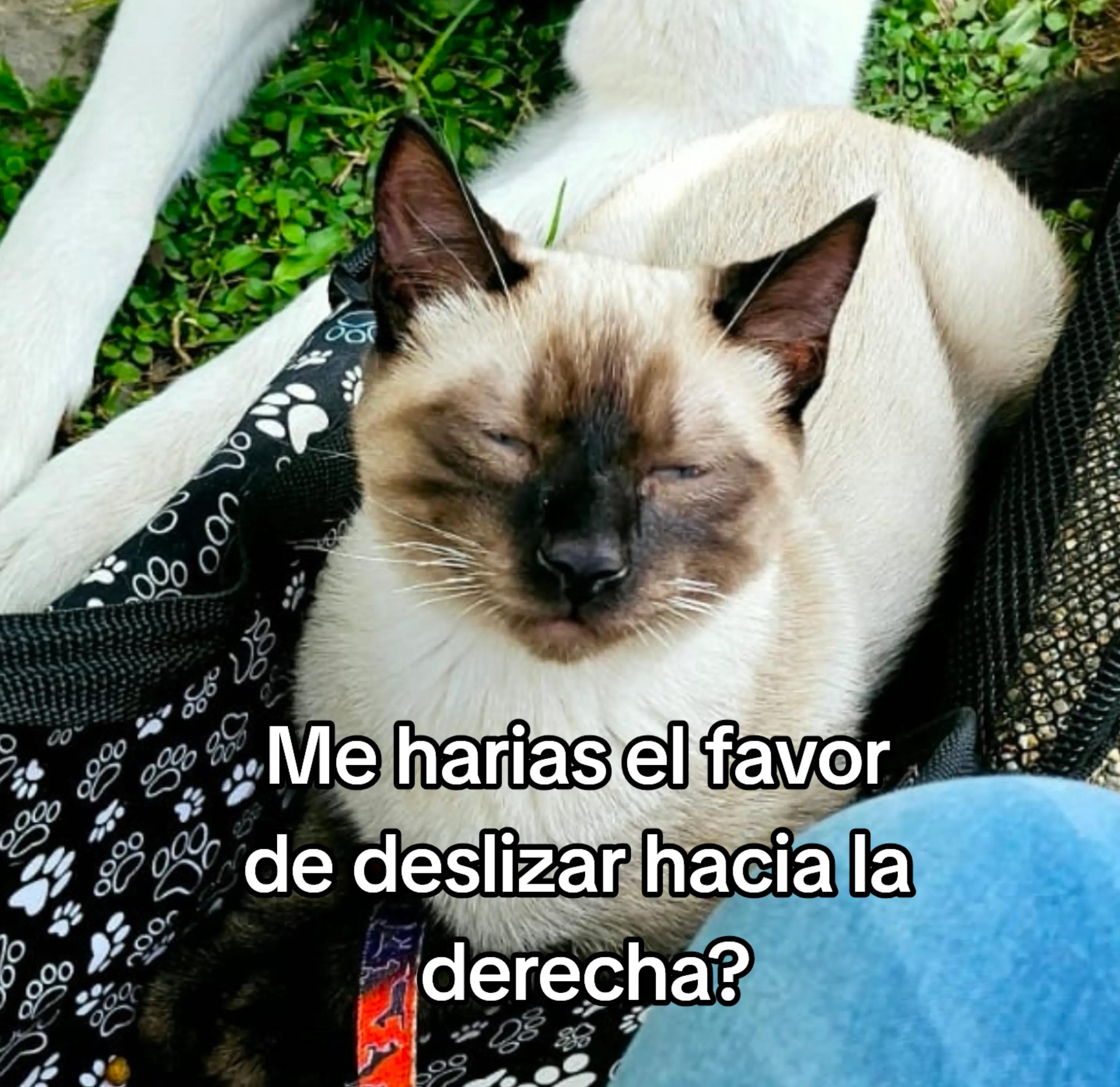 @F4MILY TIM3