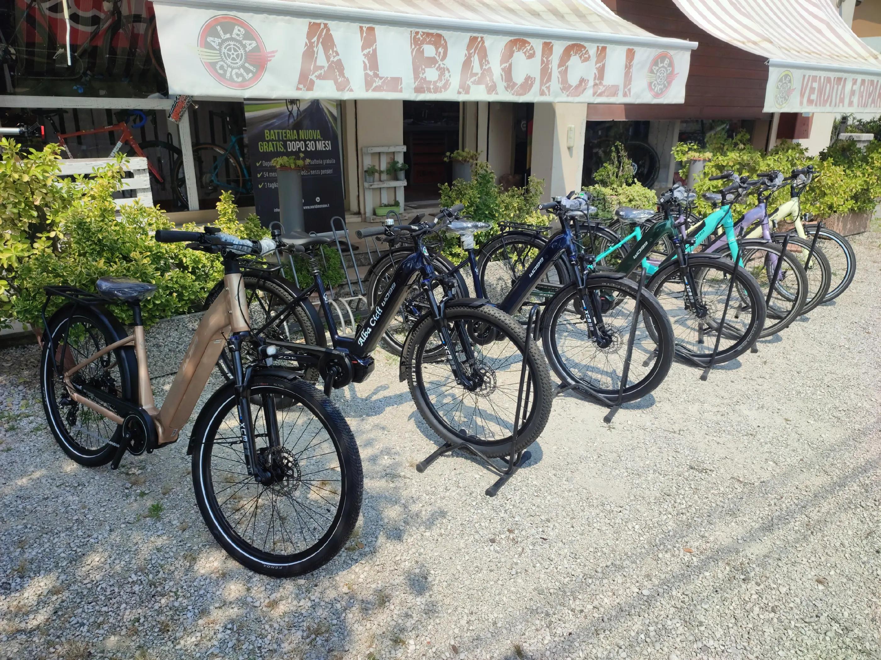 @EBIKE ALBIKE18