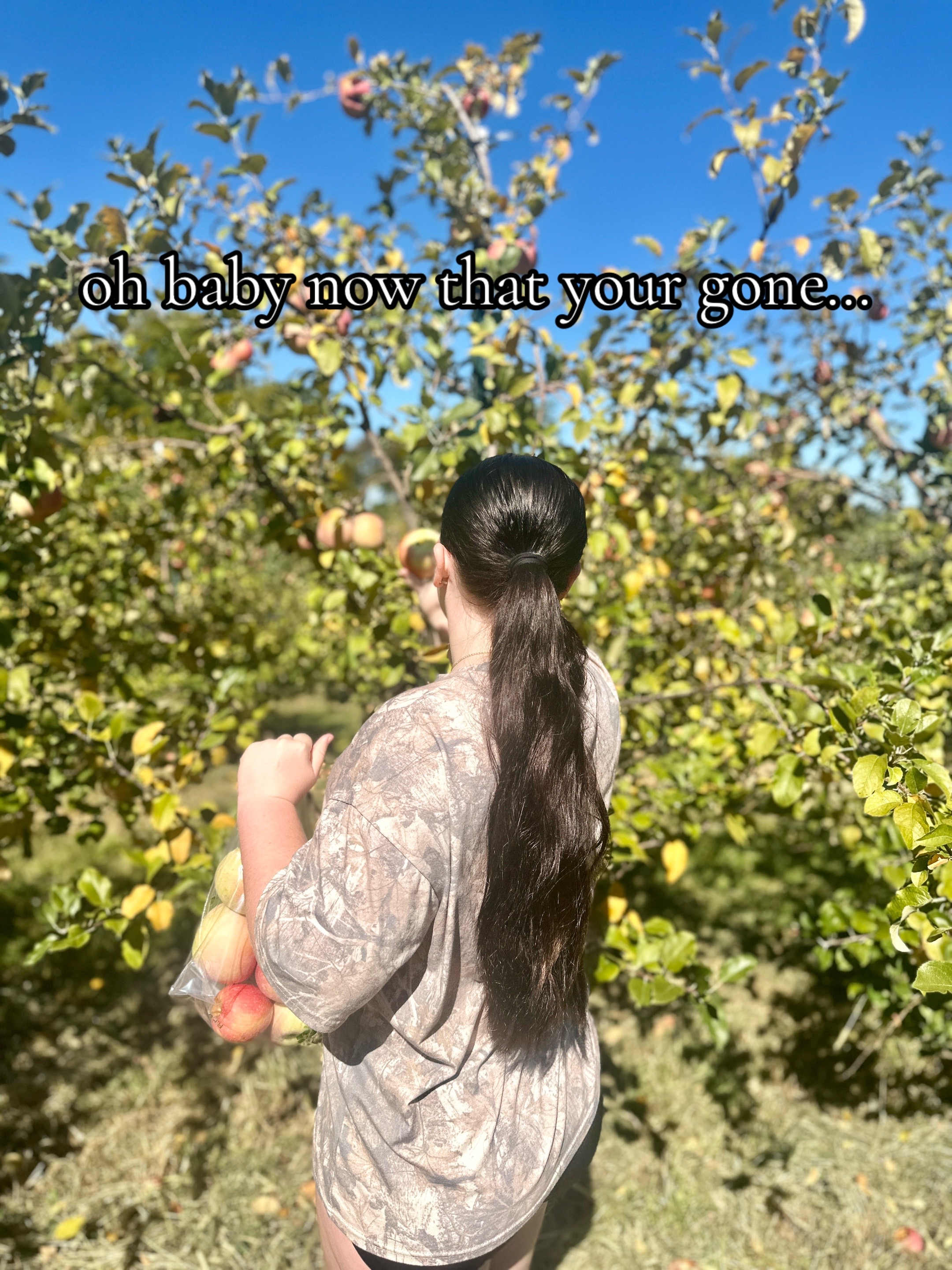 @🖇️bbi