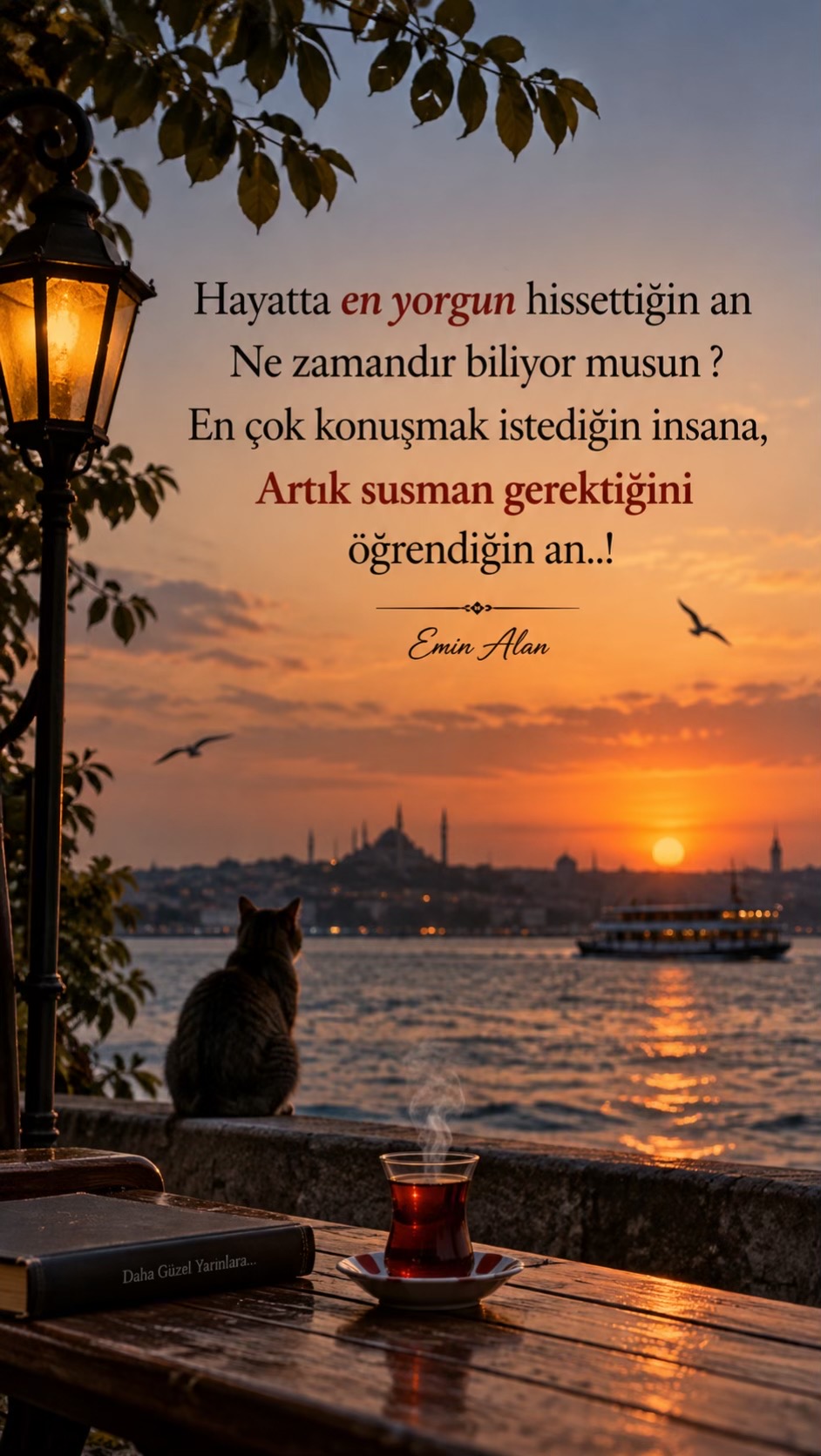 @Emin Alan