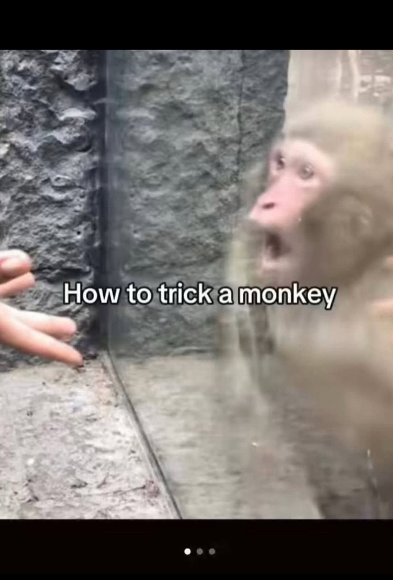 @EXL2SICC