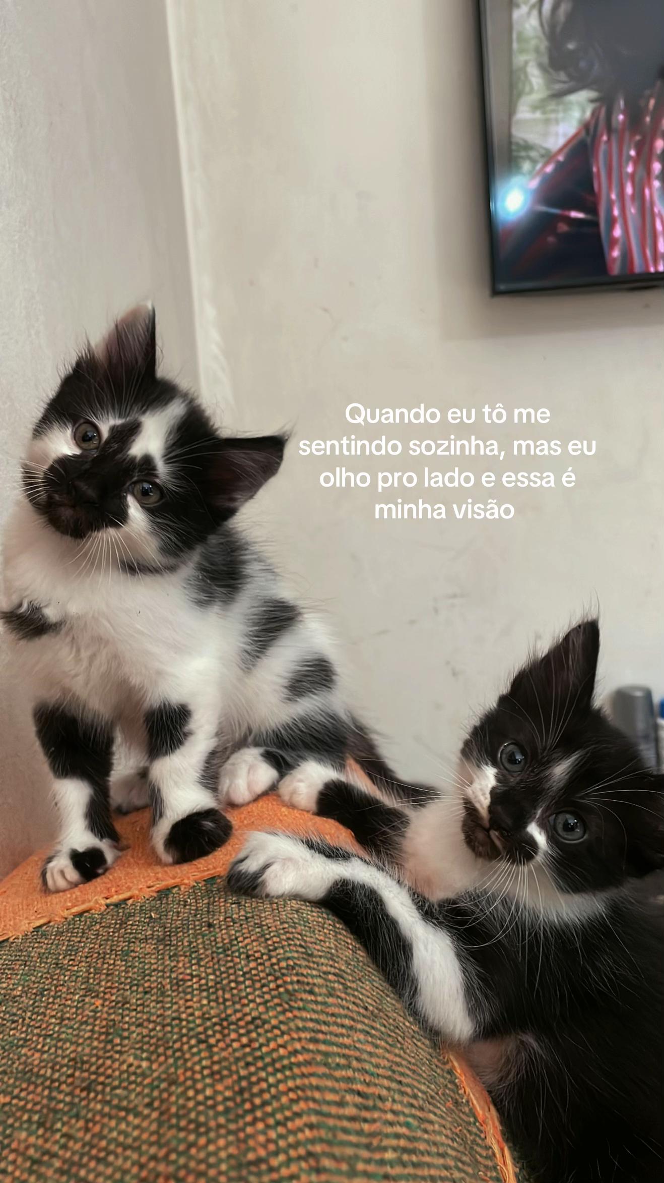 @aniguiiii❤️🩹