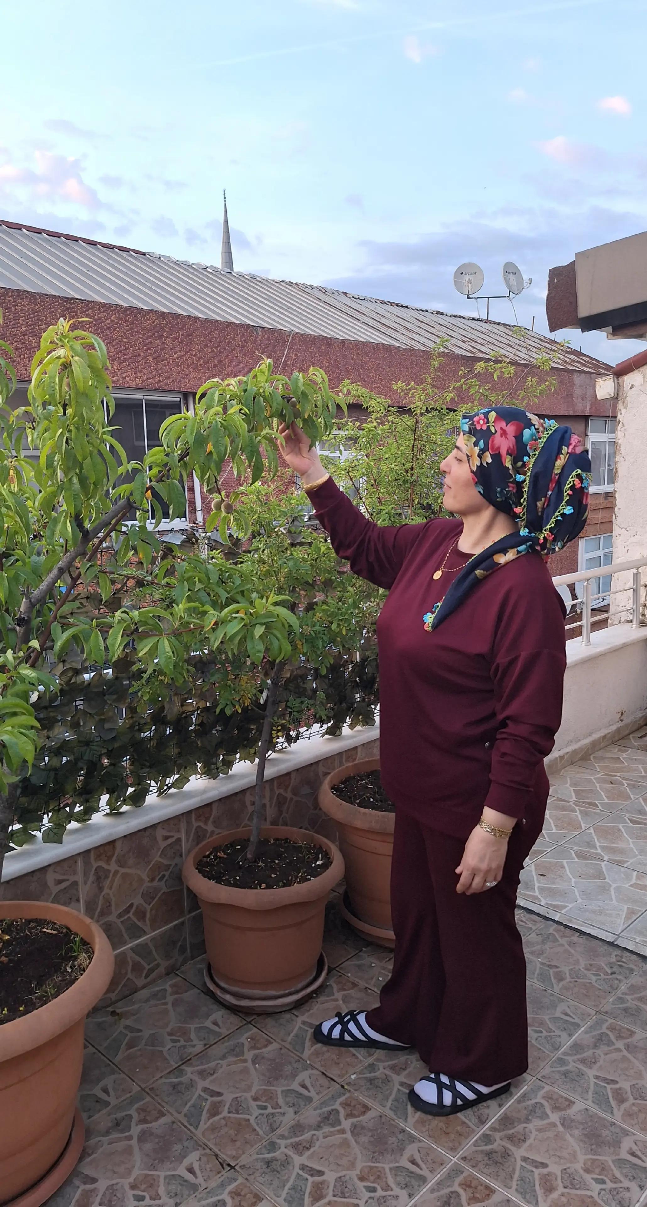 @Gülcan Esma Gümüş