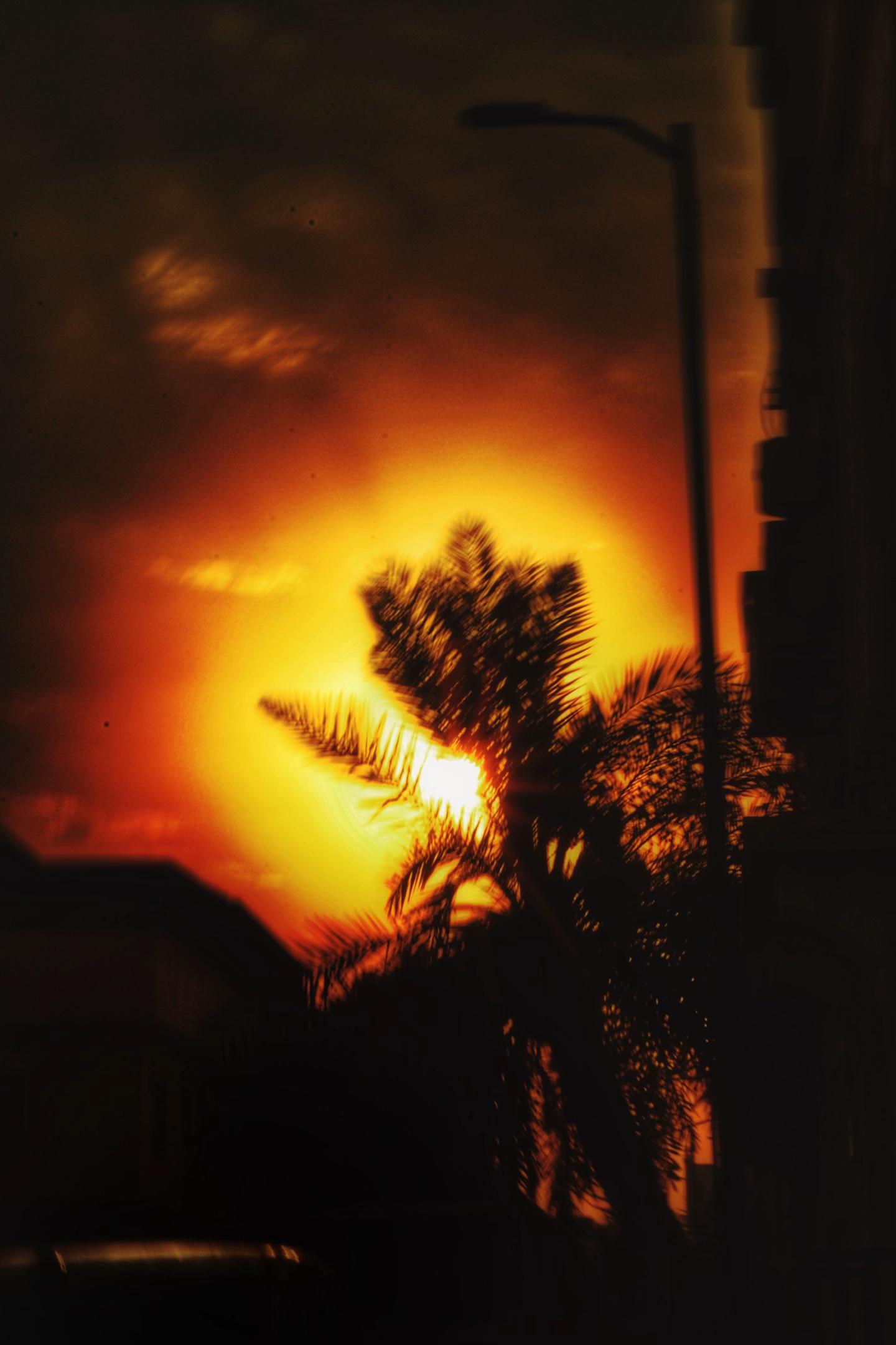 @سيد حُسَيّن