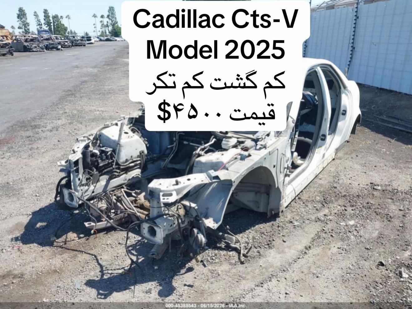 @USA afg cars
