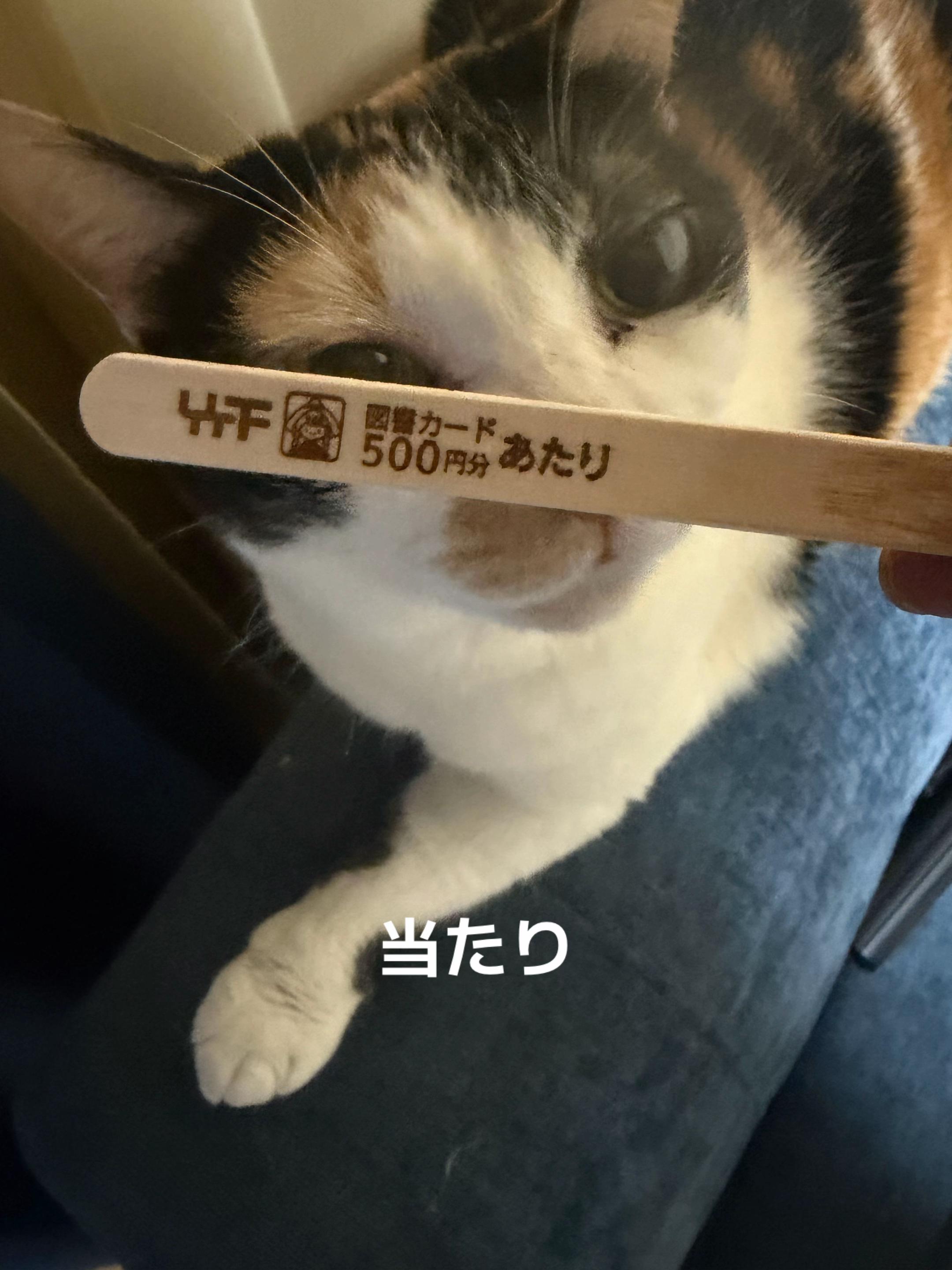 @rokusuke