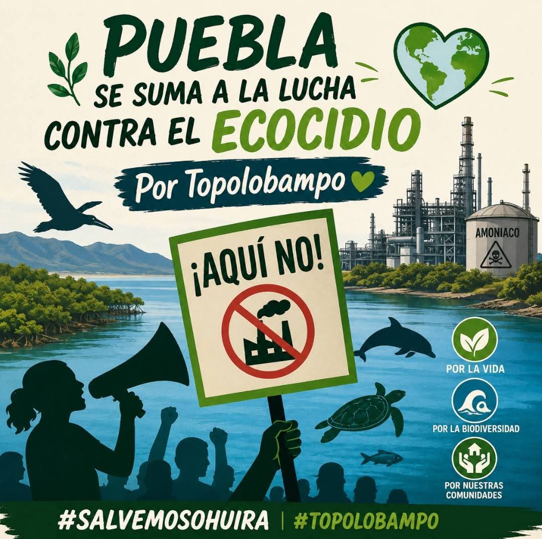 @La Banana Ambiental