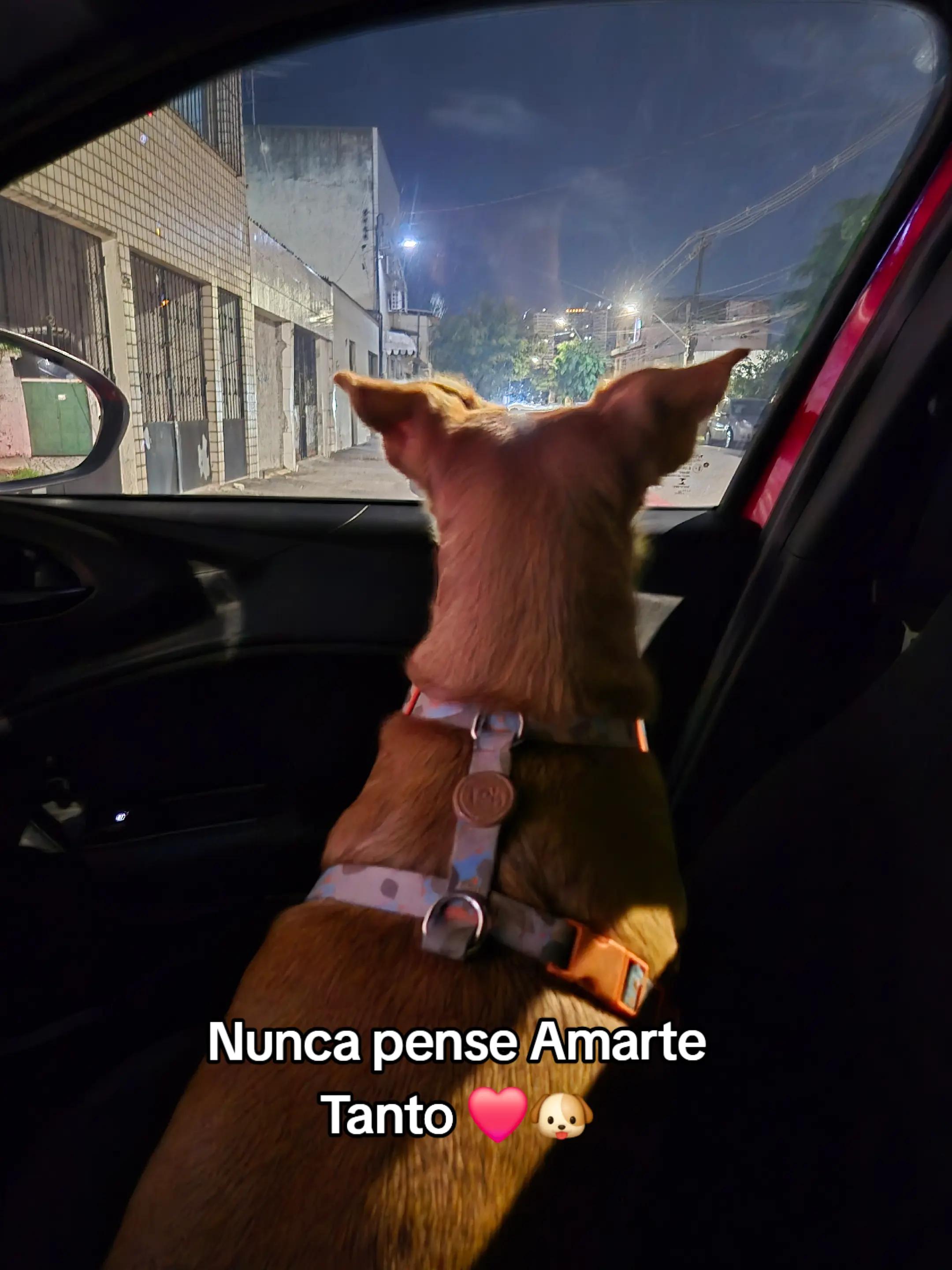 @La Zambrano