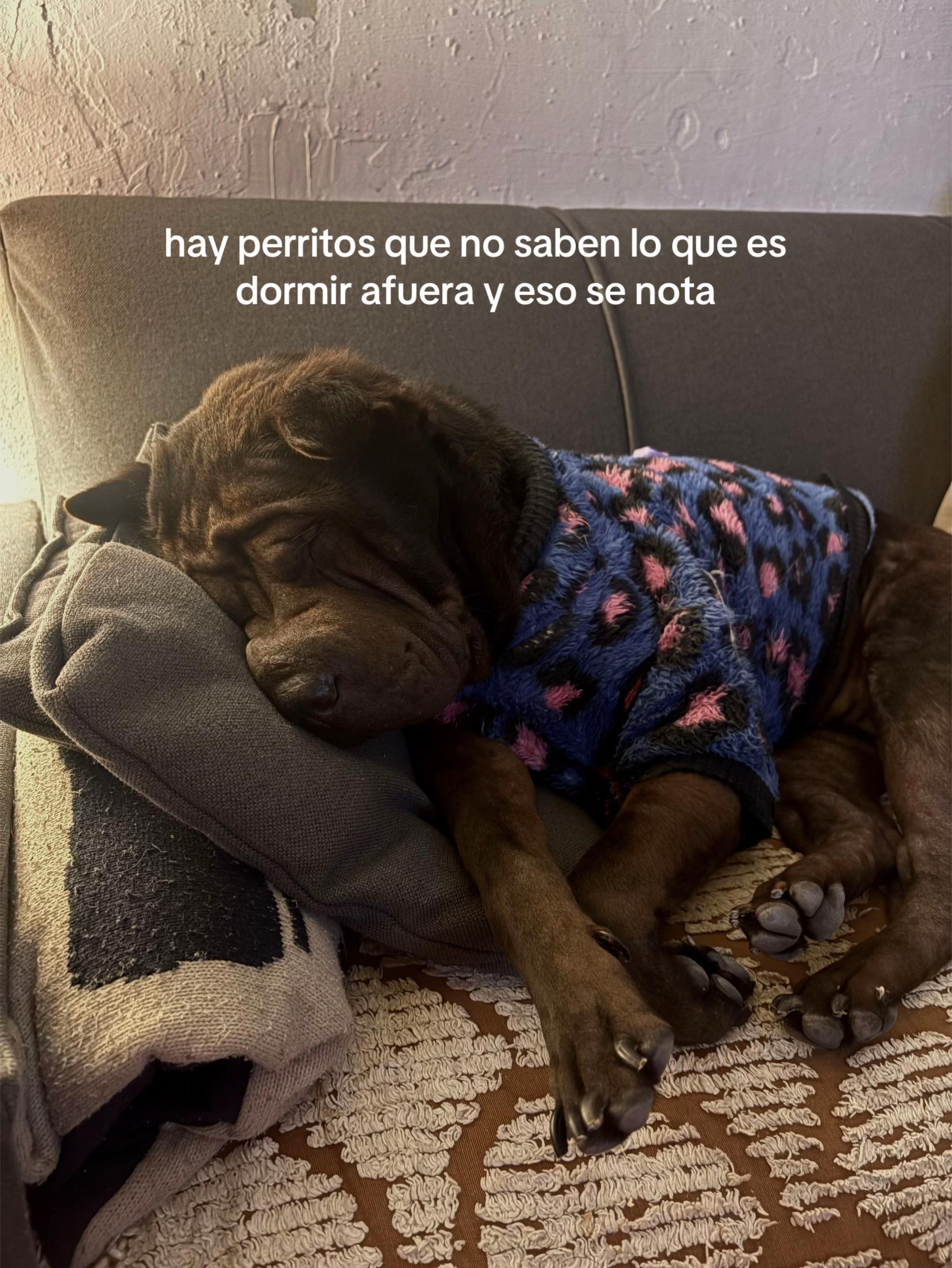 @tefi