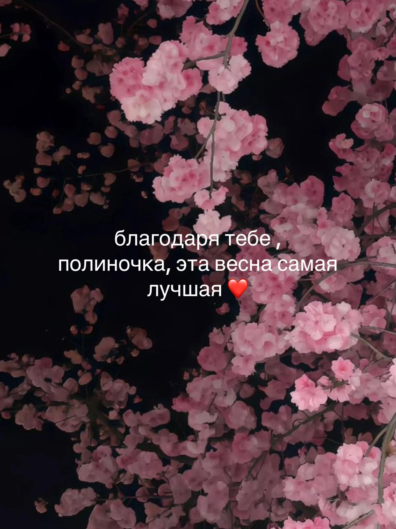 @люблю полину❤️