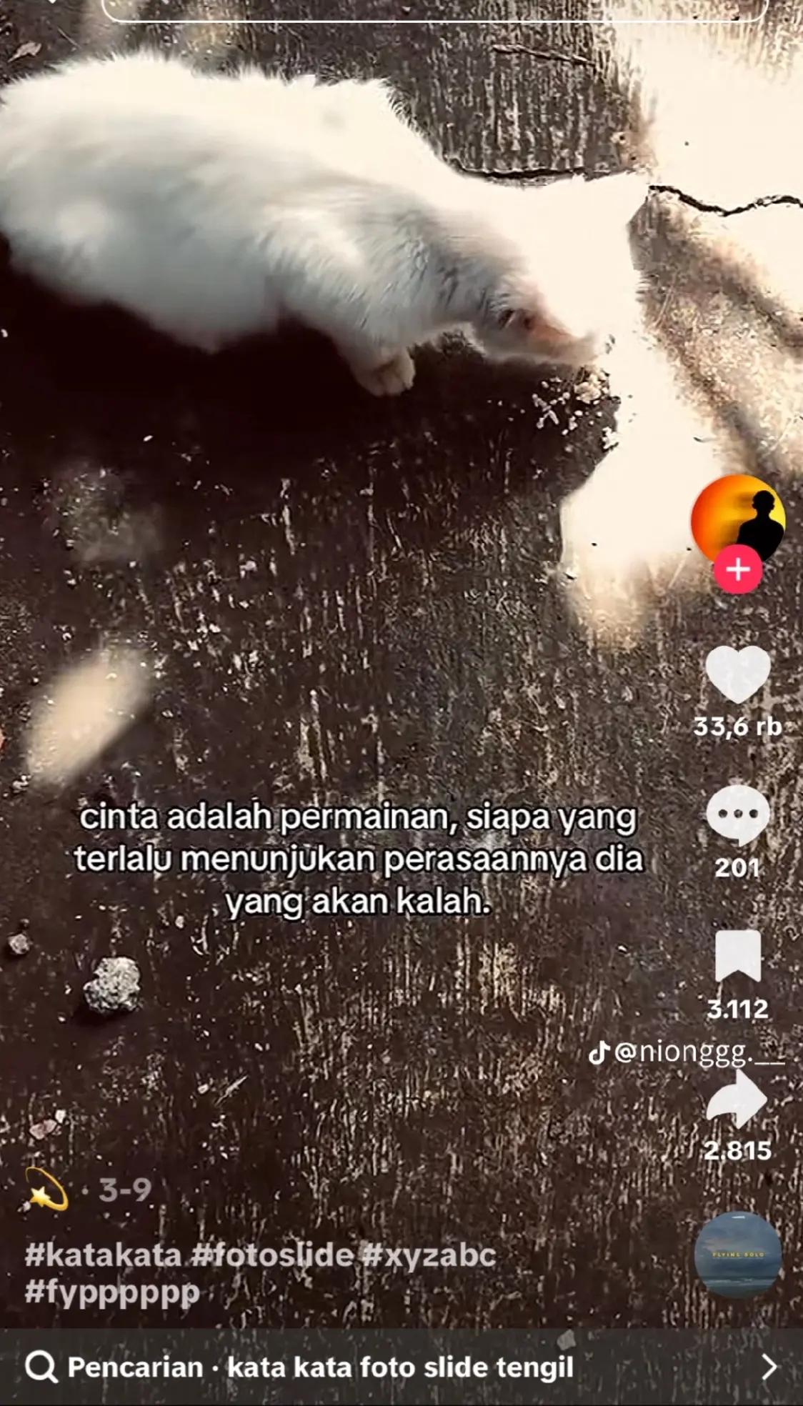 @Ismiii