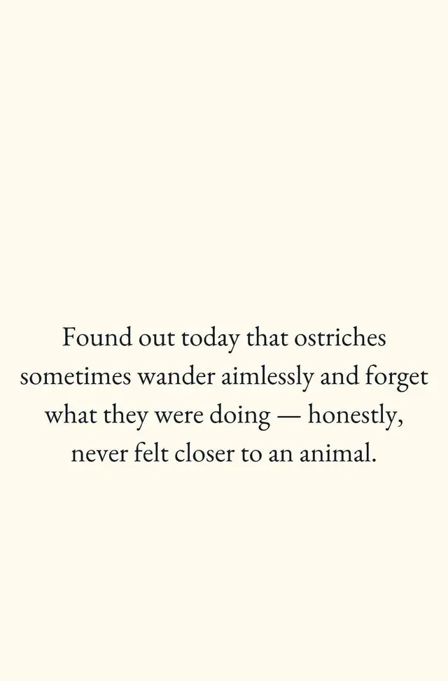 @Nakeisha Person❌