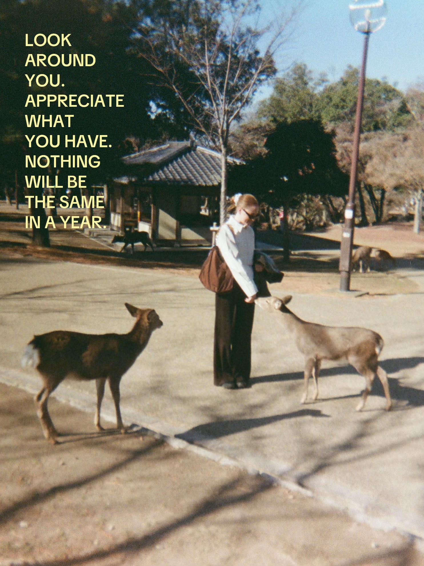 @โ Hannah Rice โ
