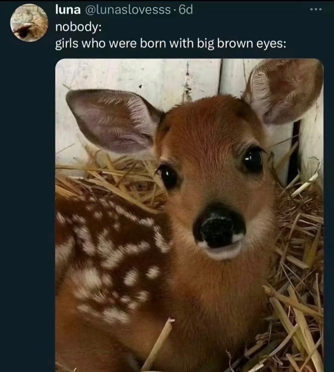 @hazaly