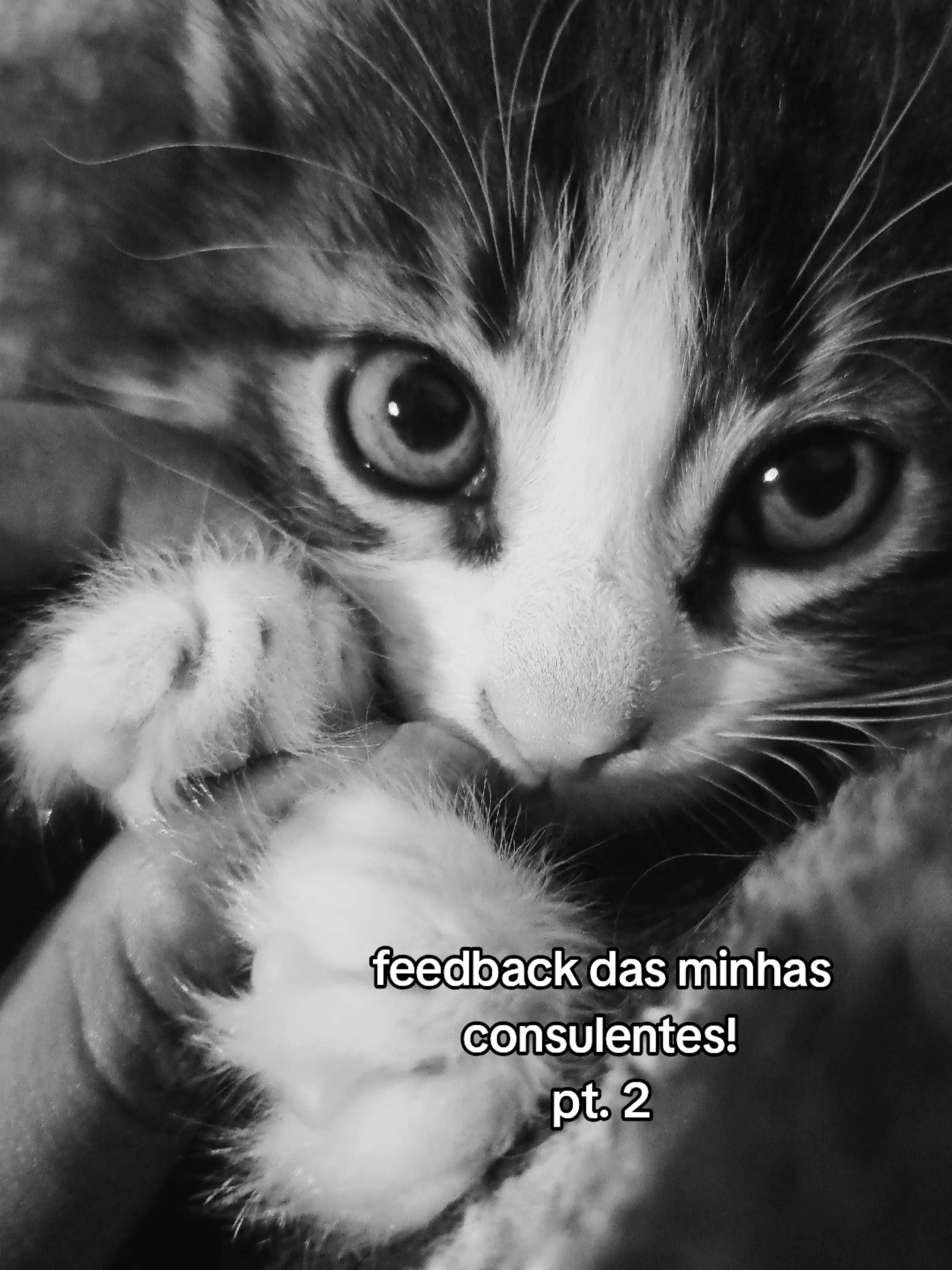 @cart✷mante