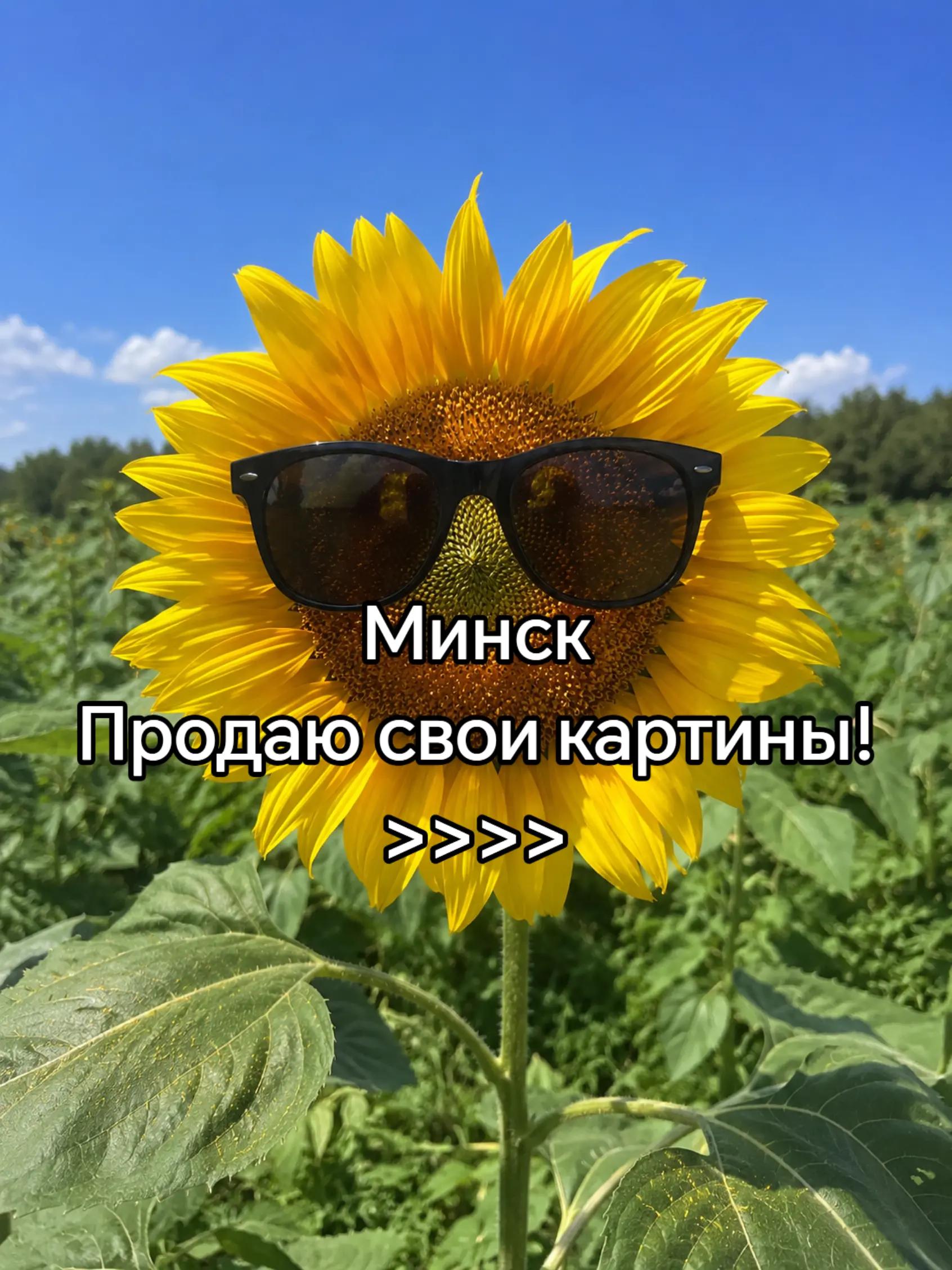 @aaarseny