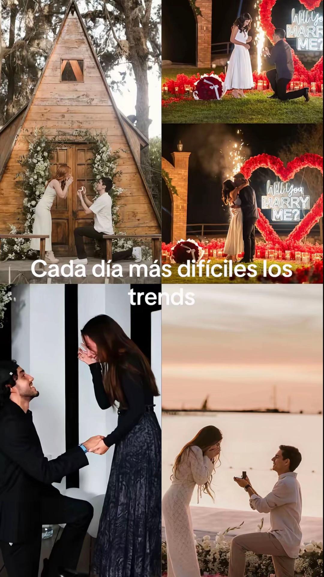 @pollito_zan