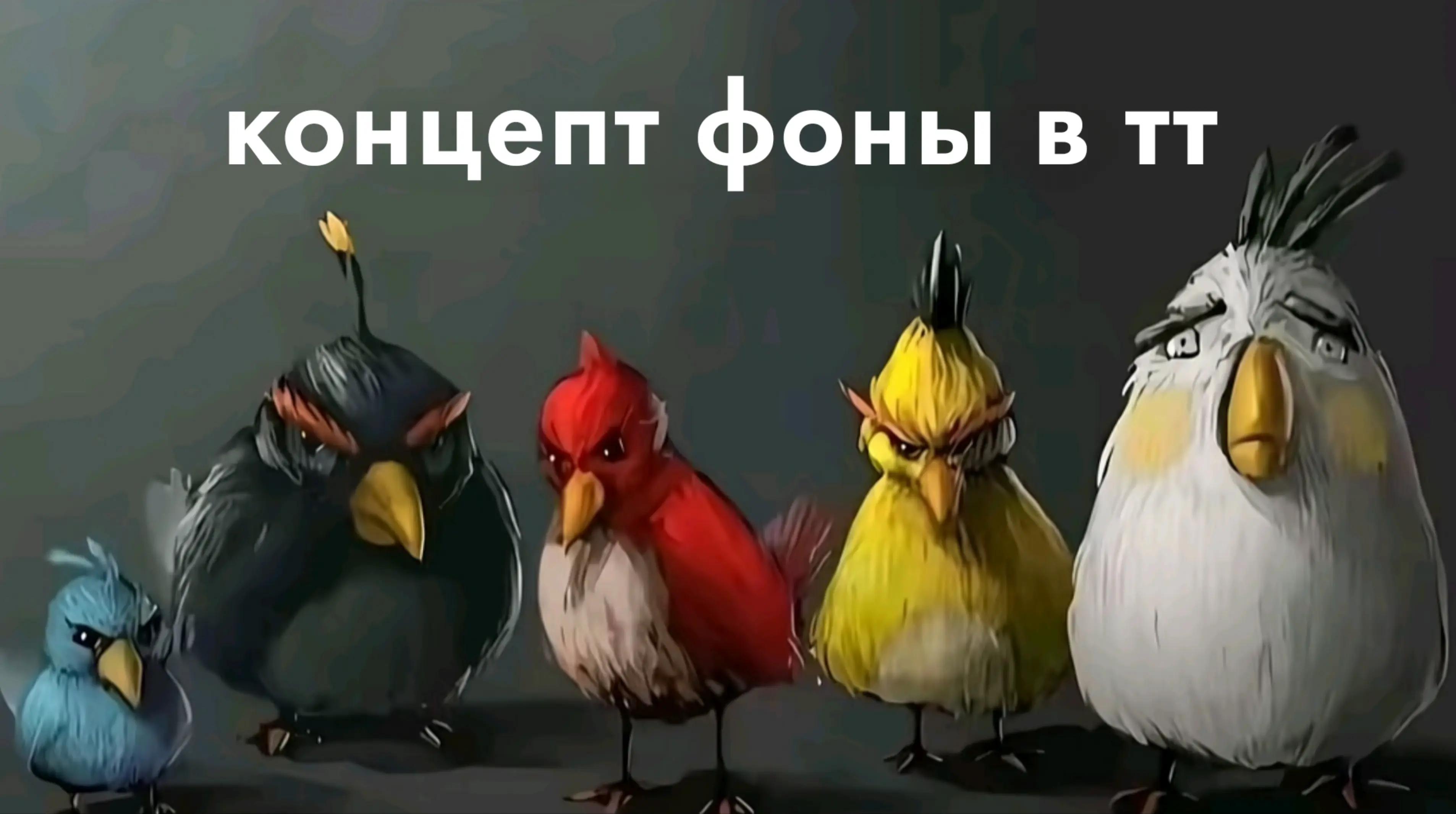 @๐ณ๐๐๐๐๐๐๐ข๐