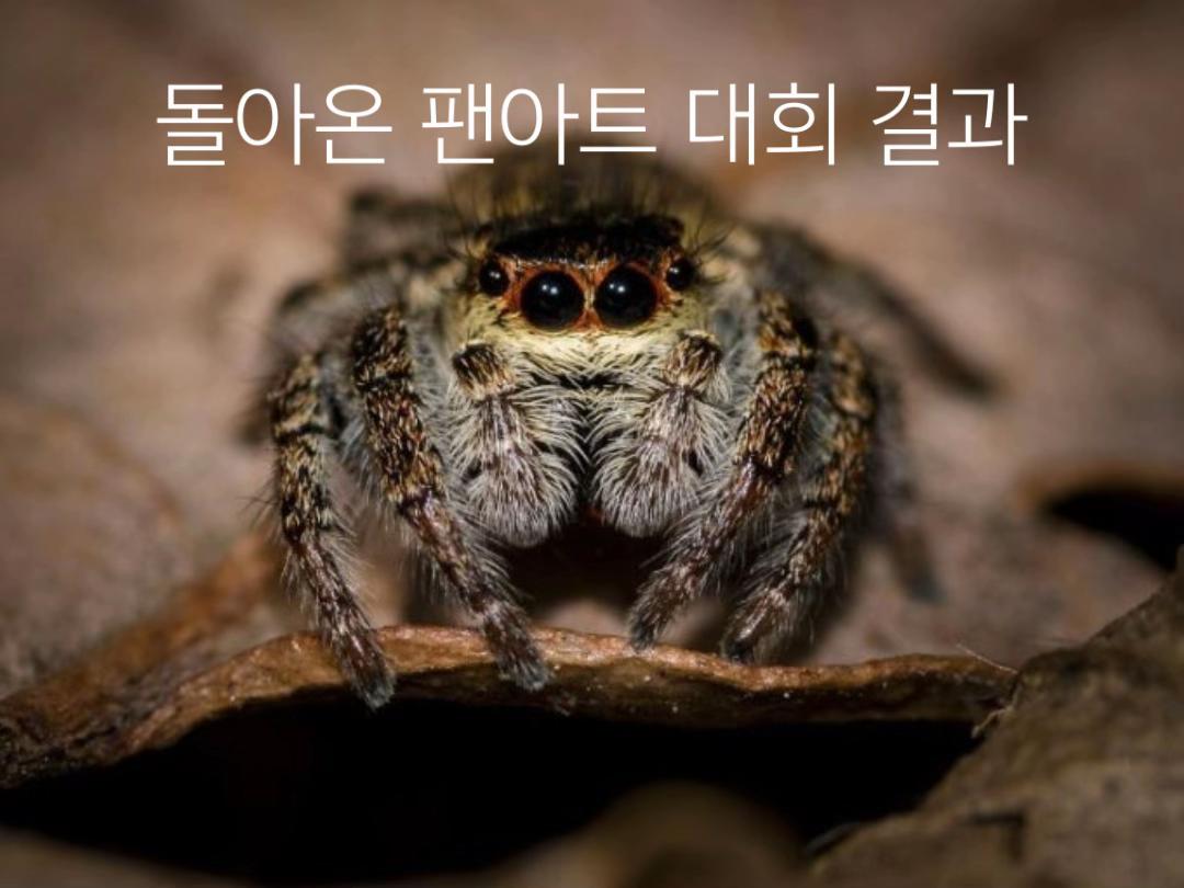 @명월 바라기 포초