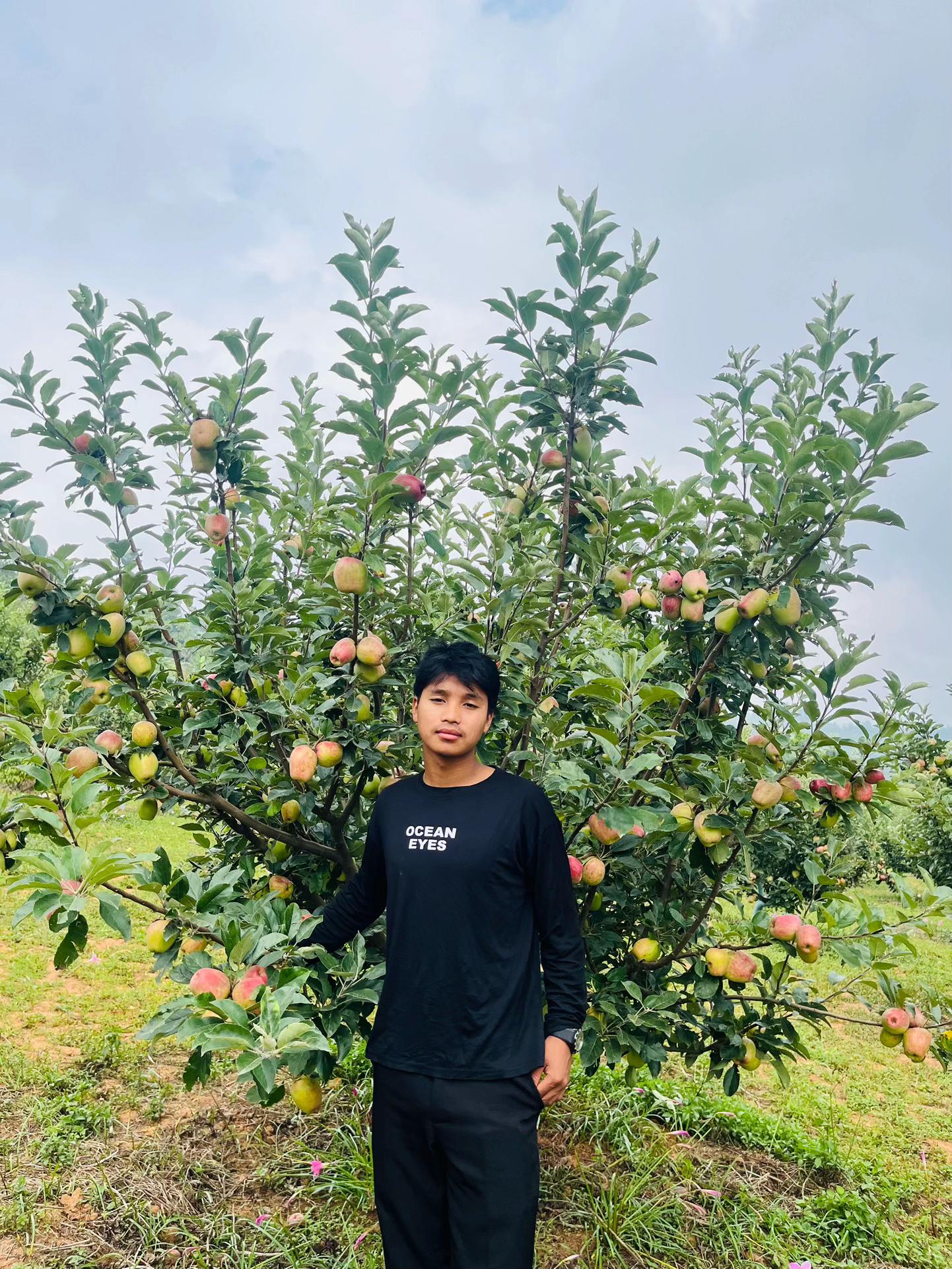 @ℳ&real;ܔ 𝓟ꫝ𝐍ᎶMł