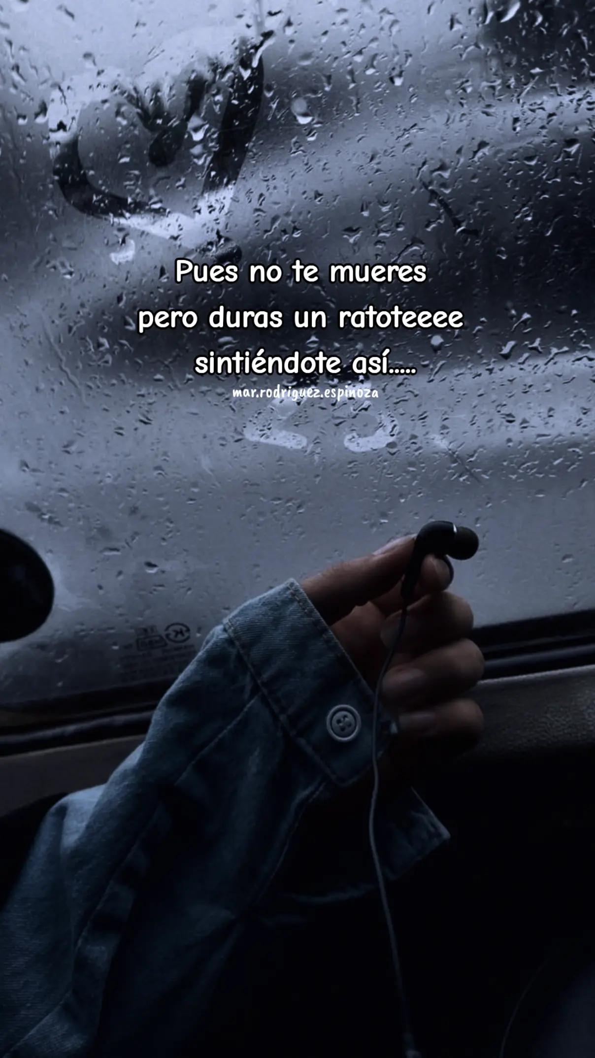@Mar🌷Rodriguez Espinoza🇧🇴SC