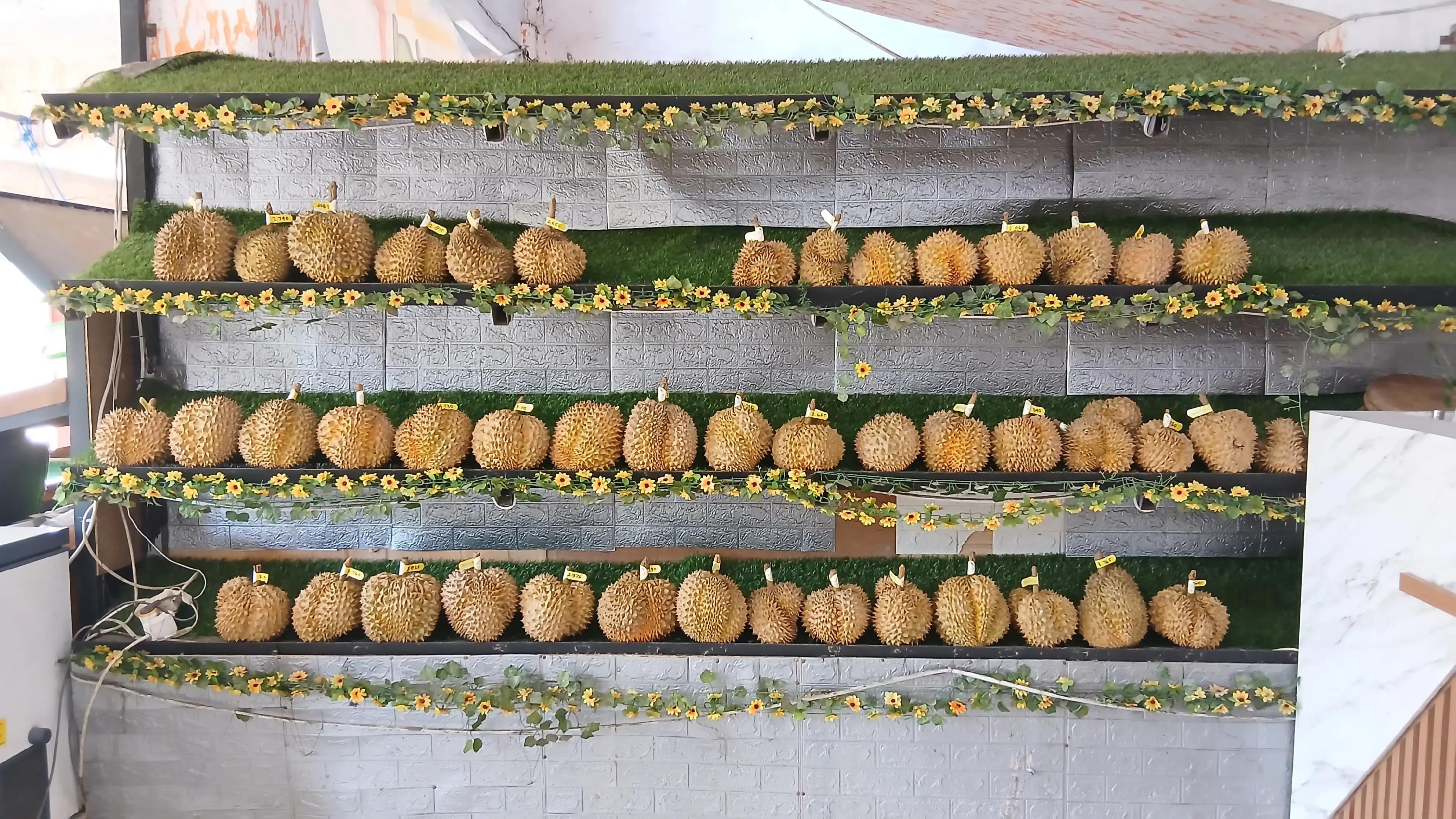 @Kenzhi Durian Tuban